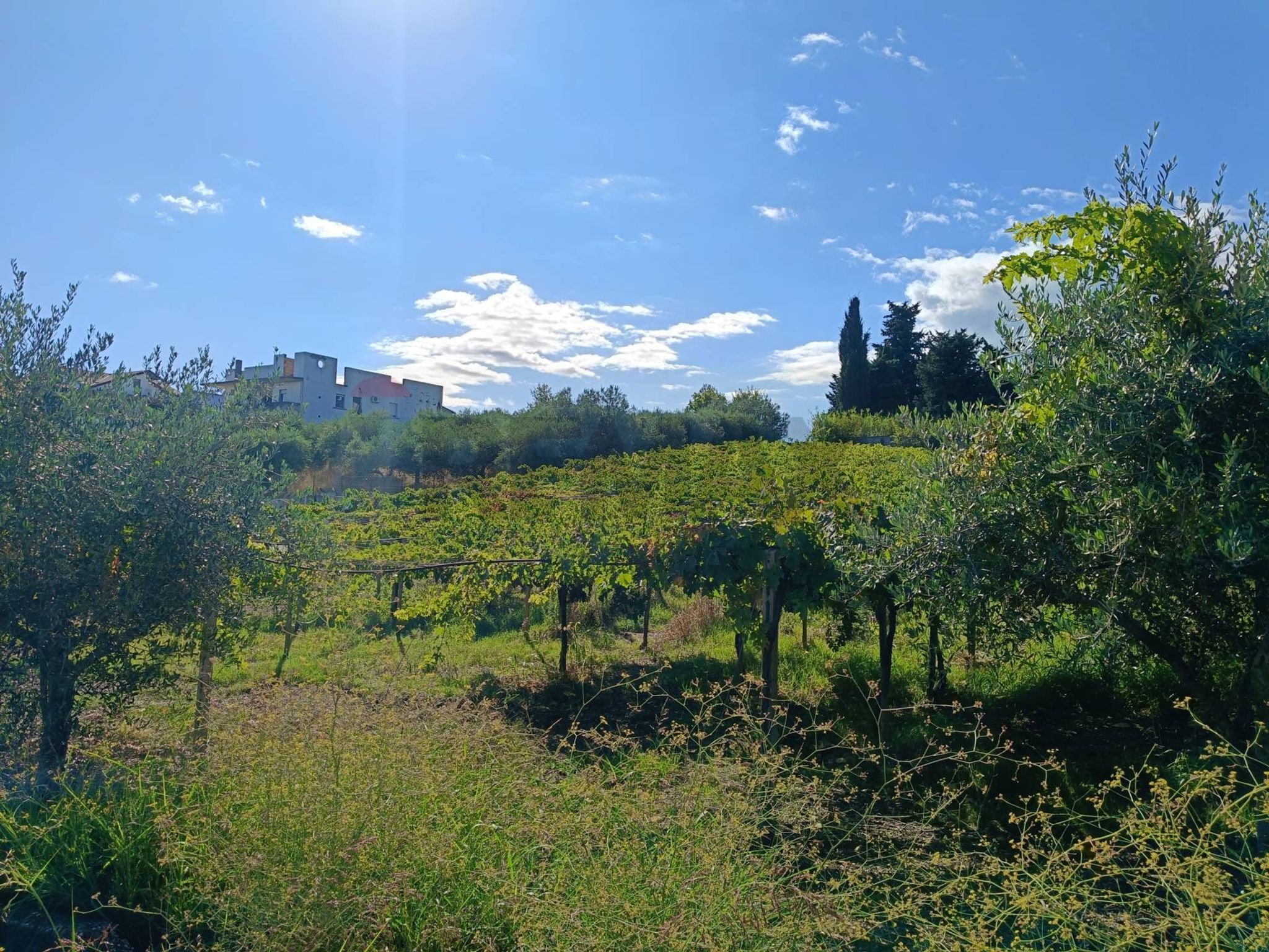 Vista delle montagne