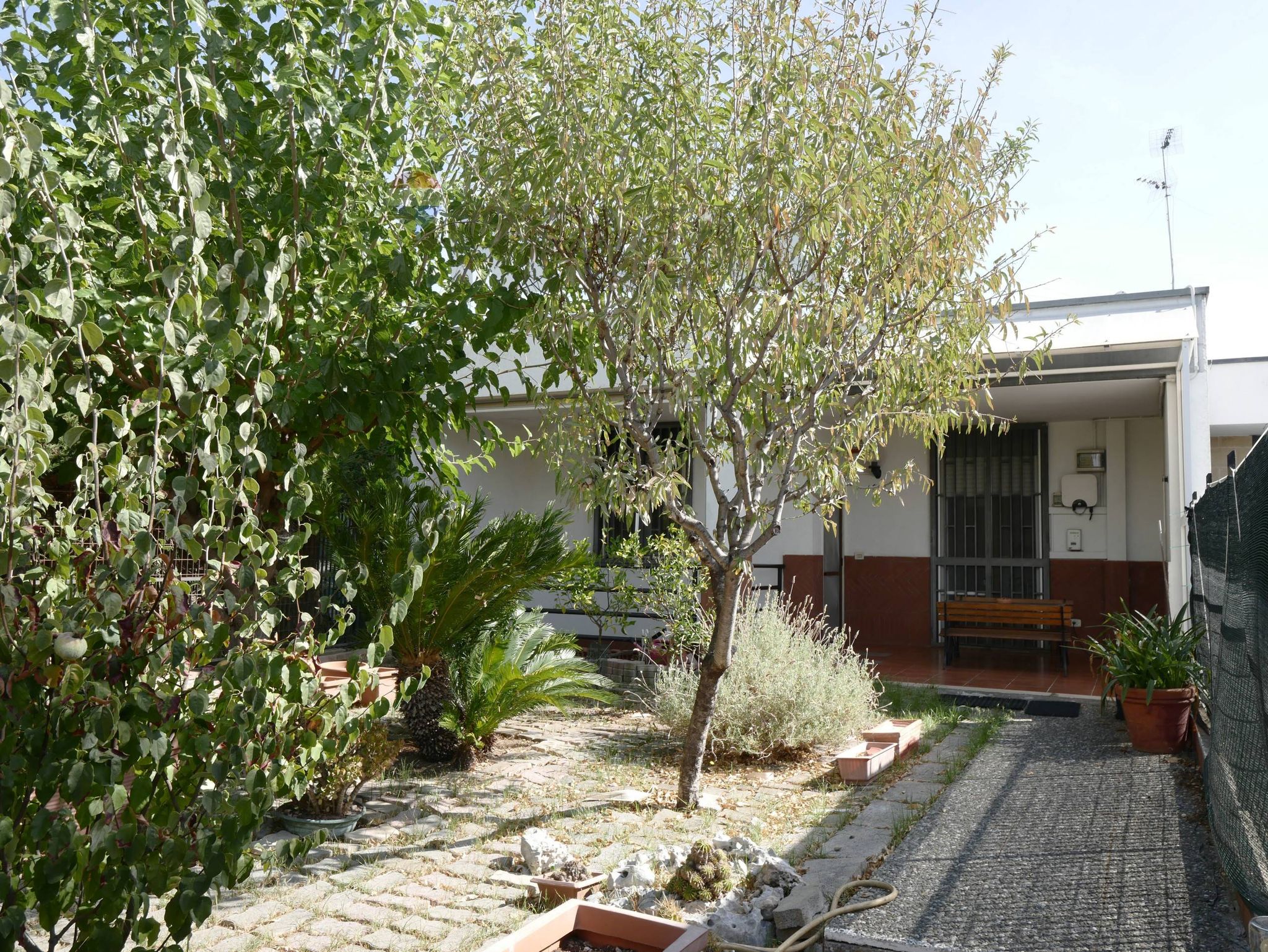 Giardino
