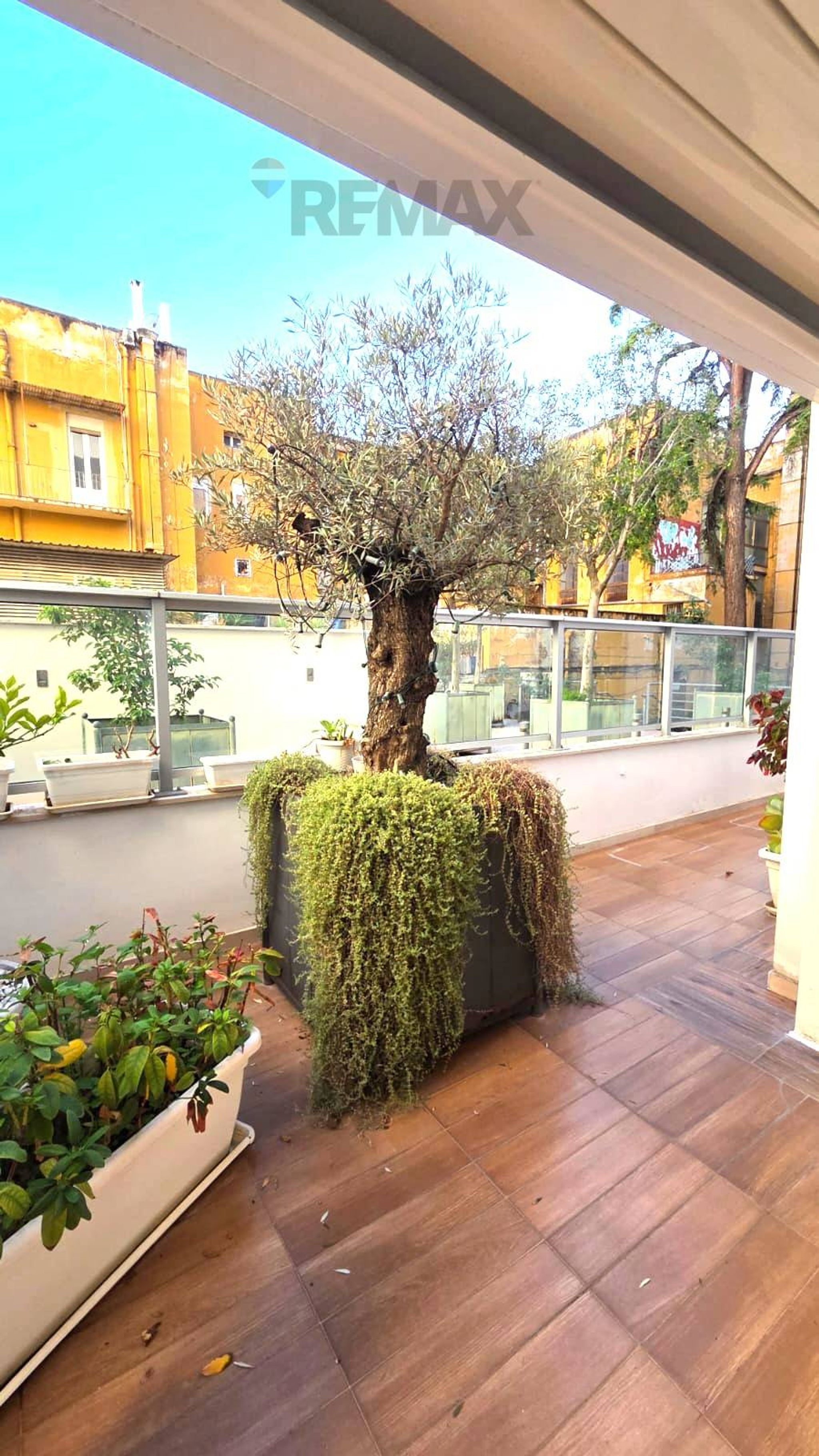 Terrazza