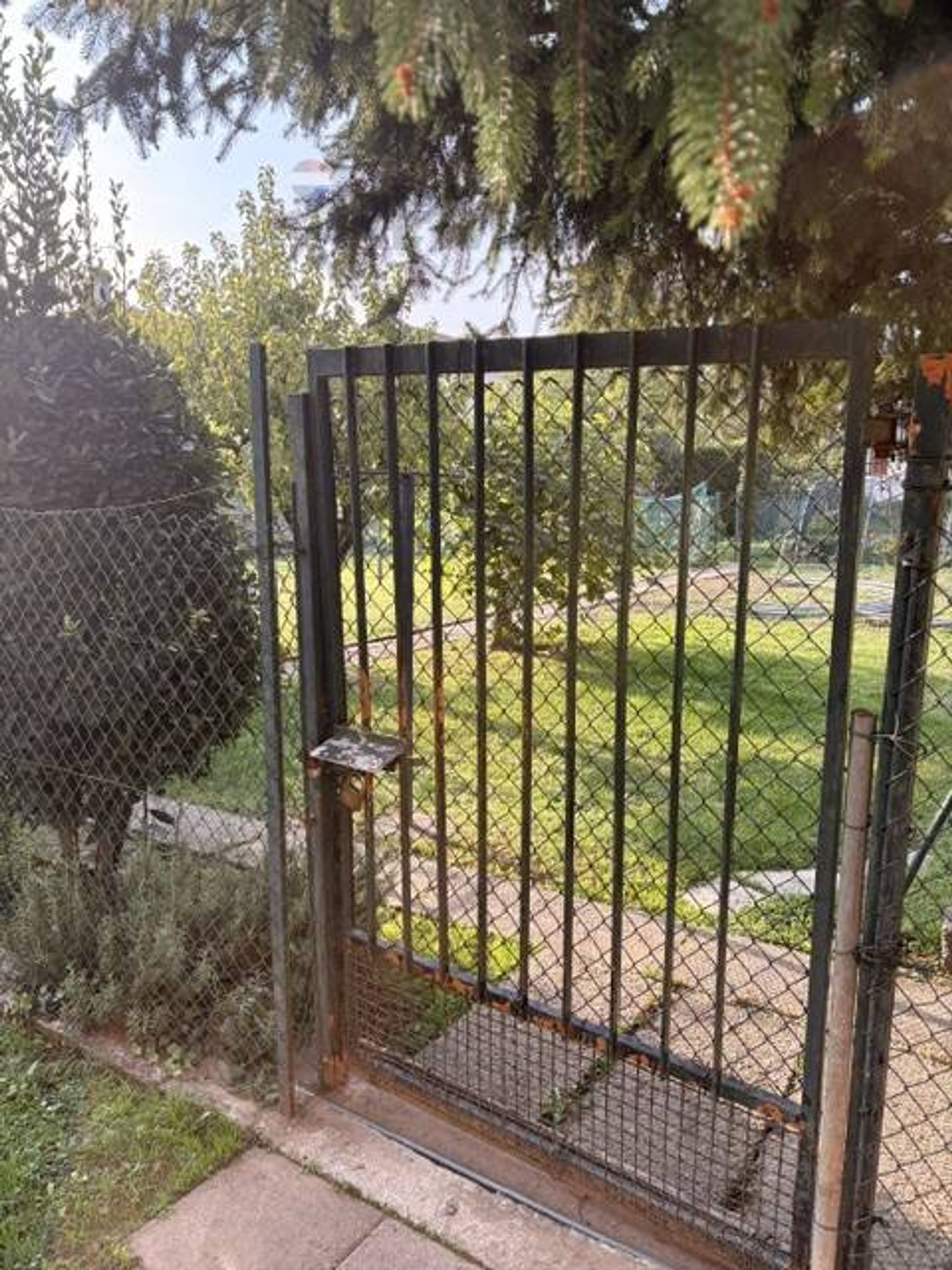 Giardino