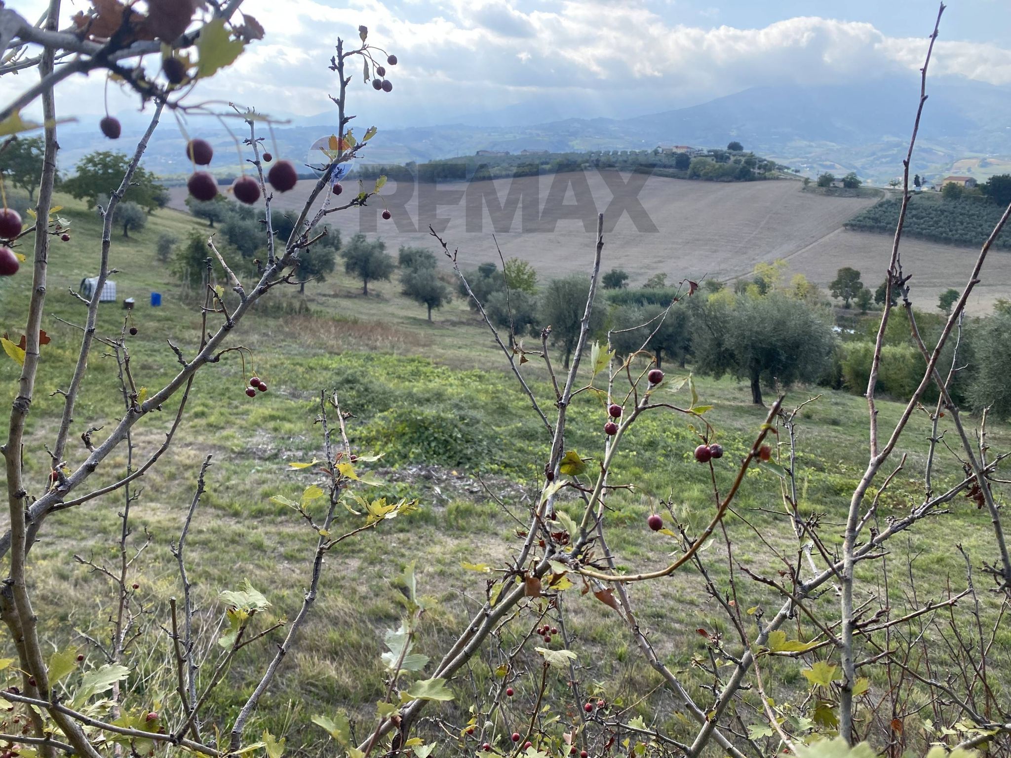 Vista delle montagne