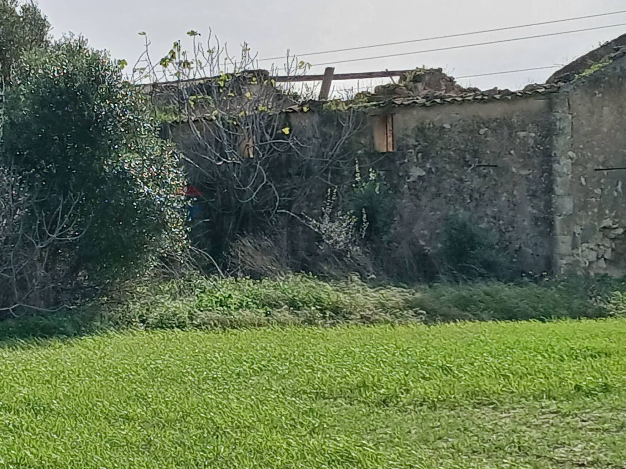 Foto principale