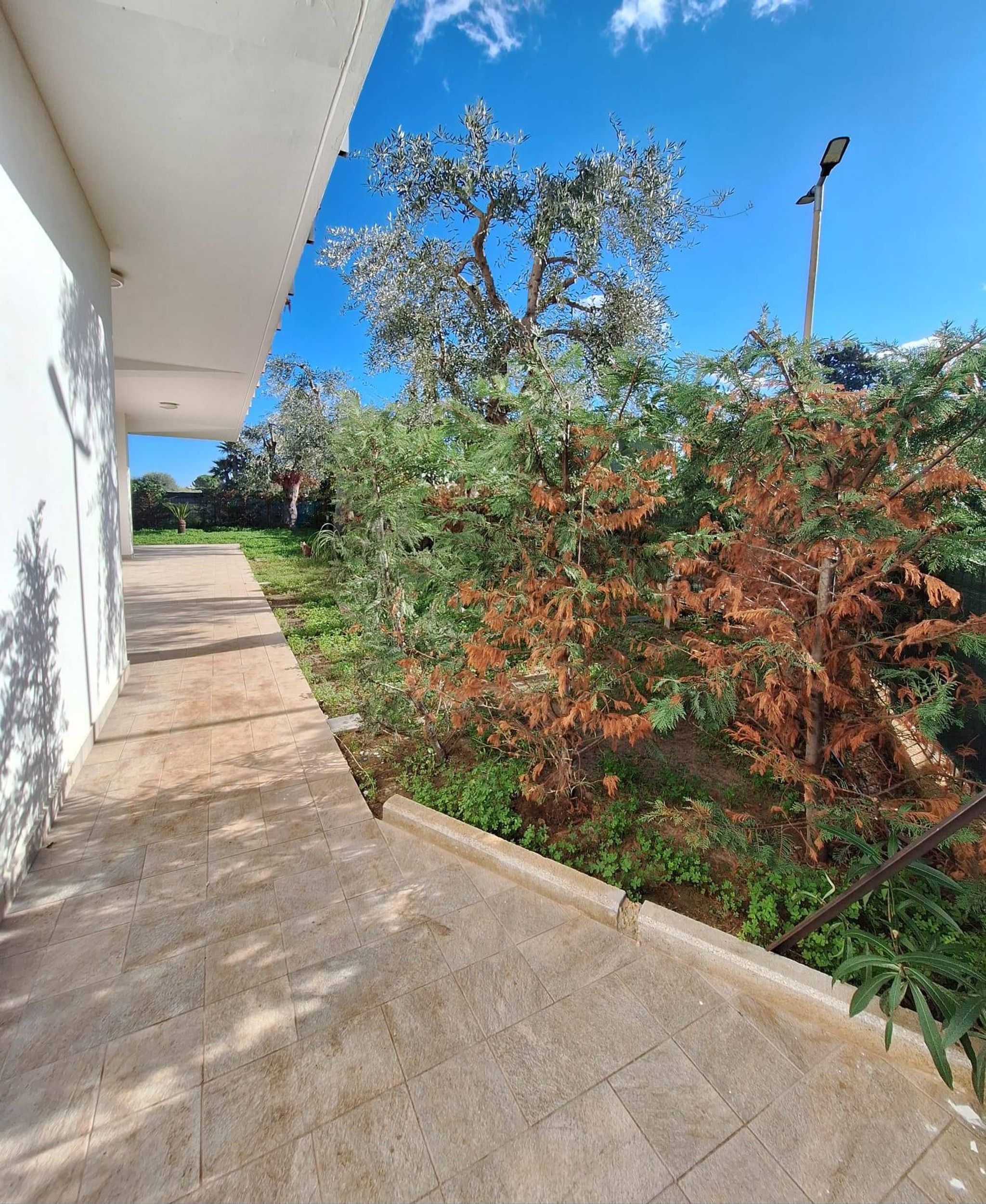 Giardino