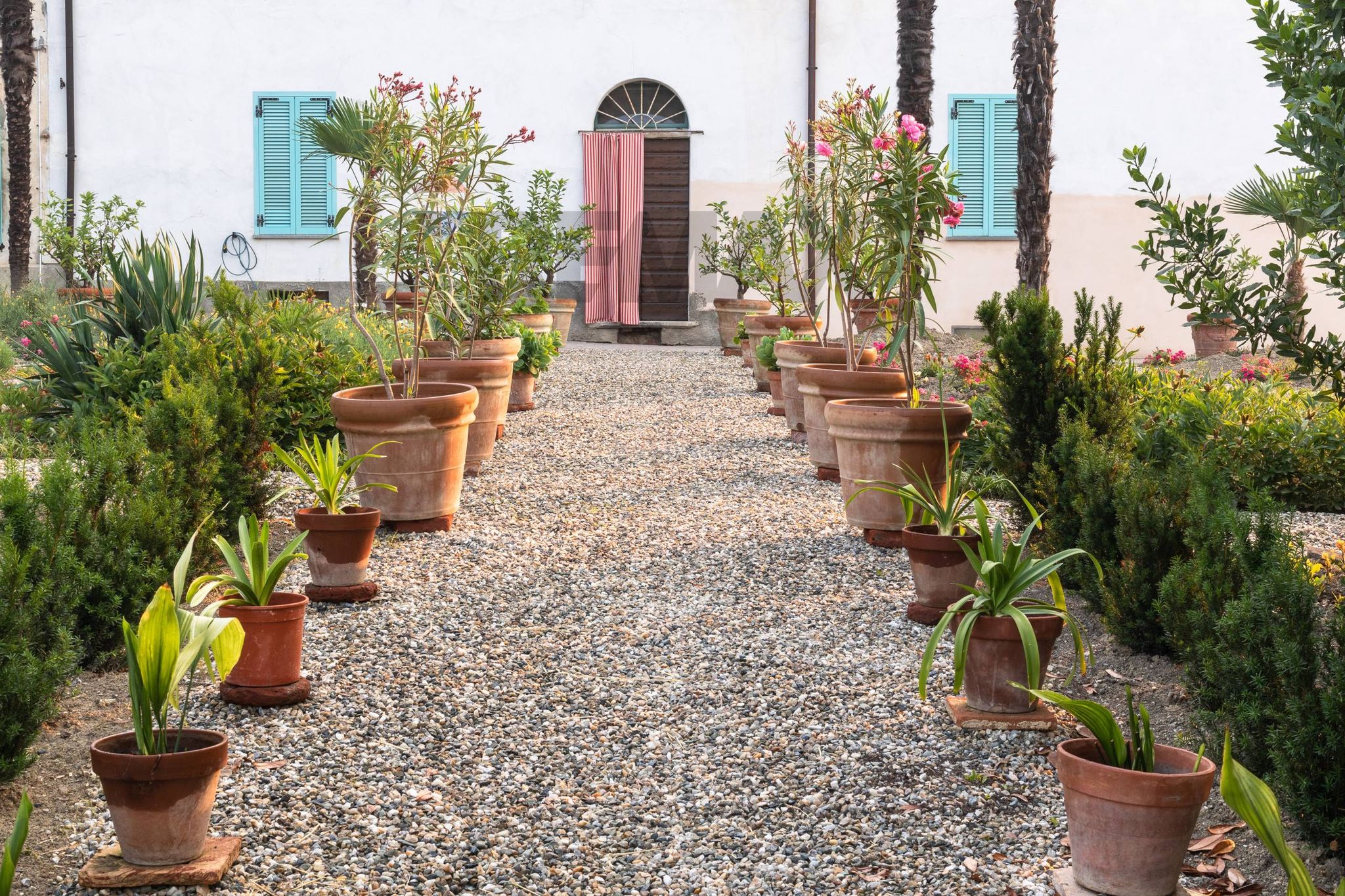 Giardino
