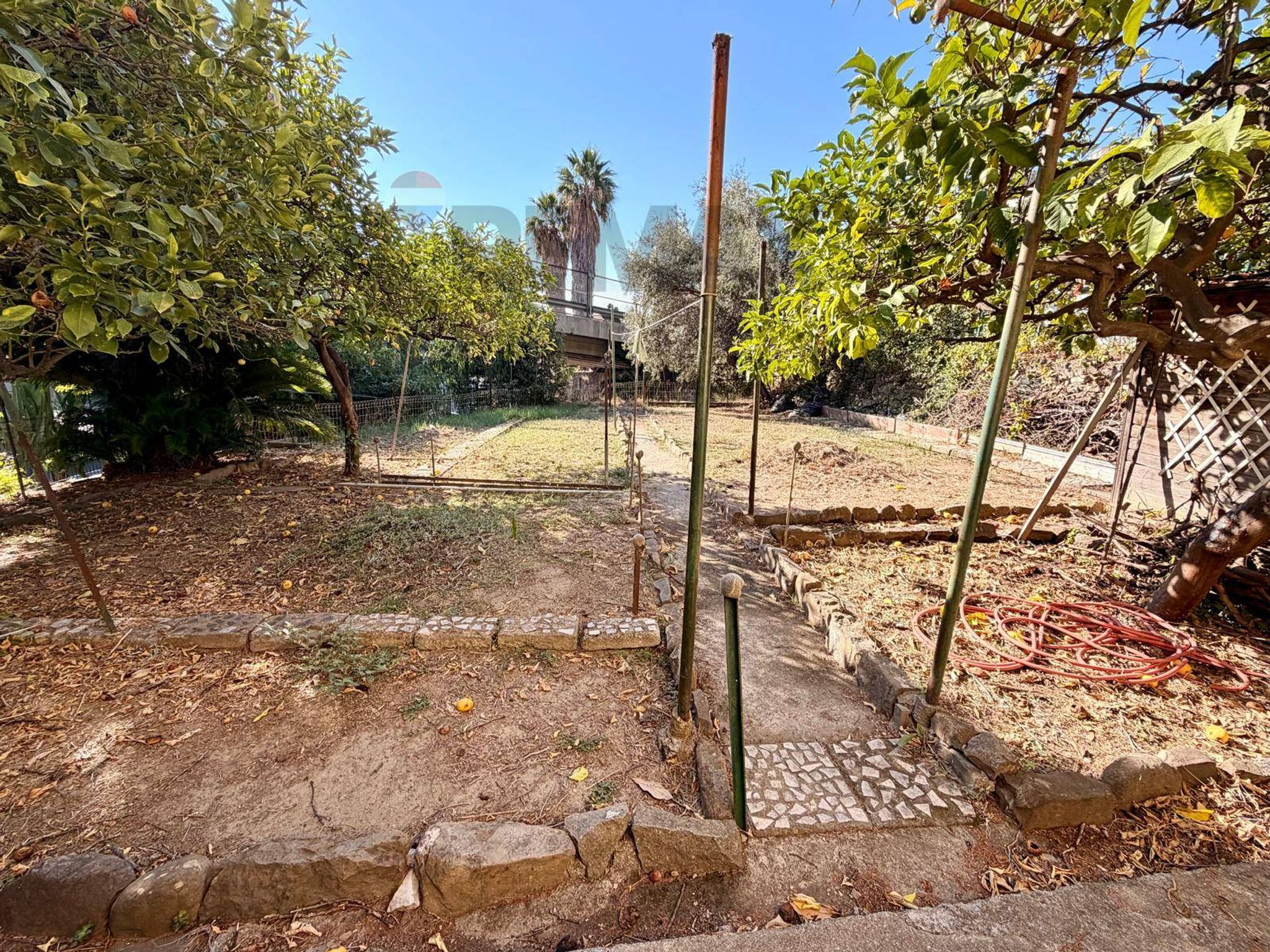 Giardino