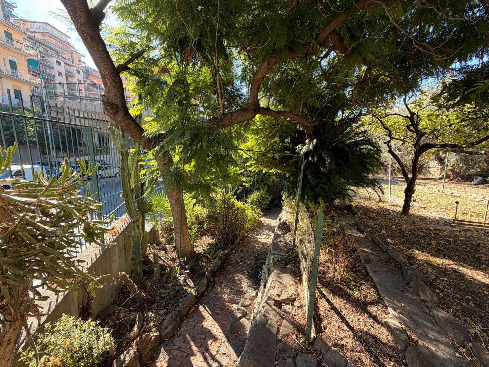 Giardino