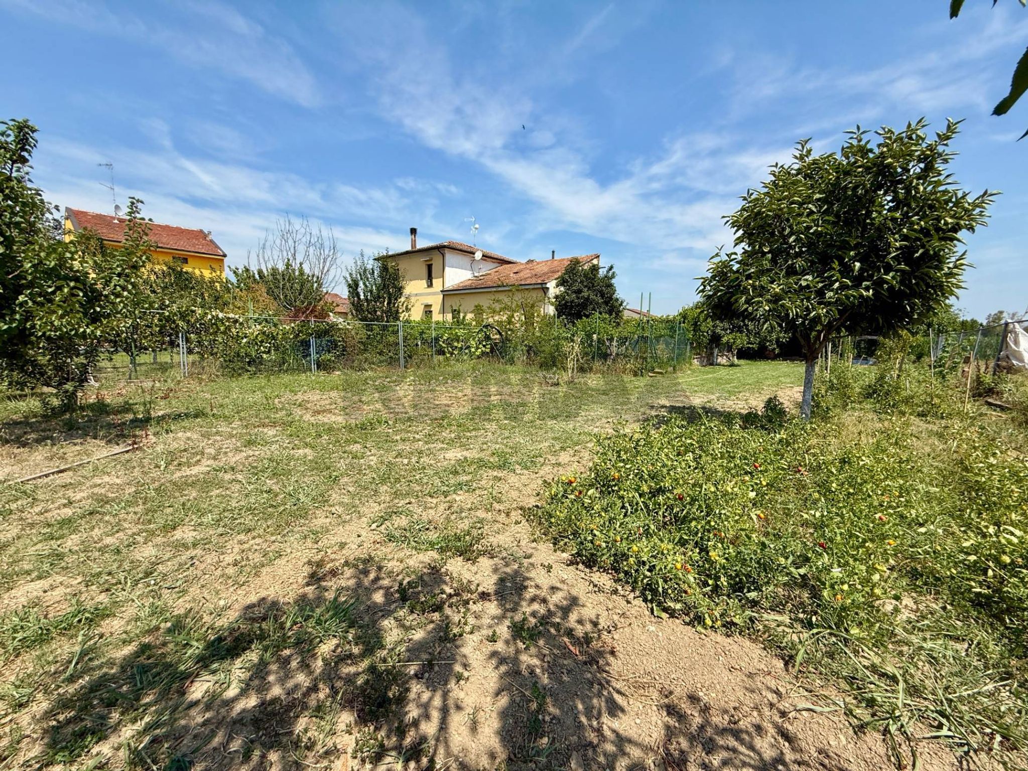 Giardino