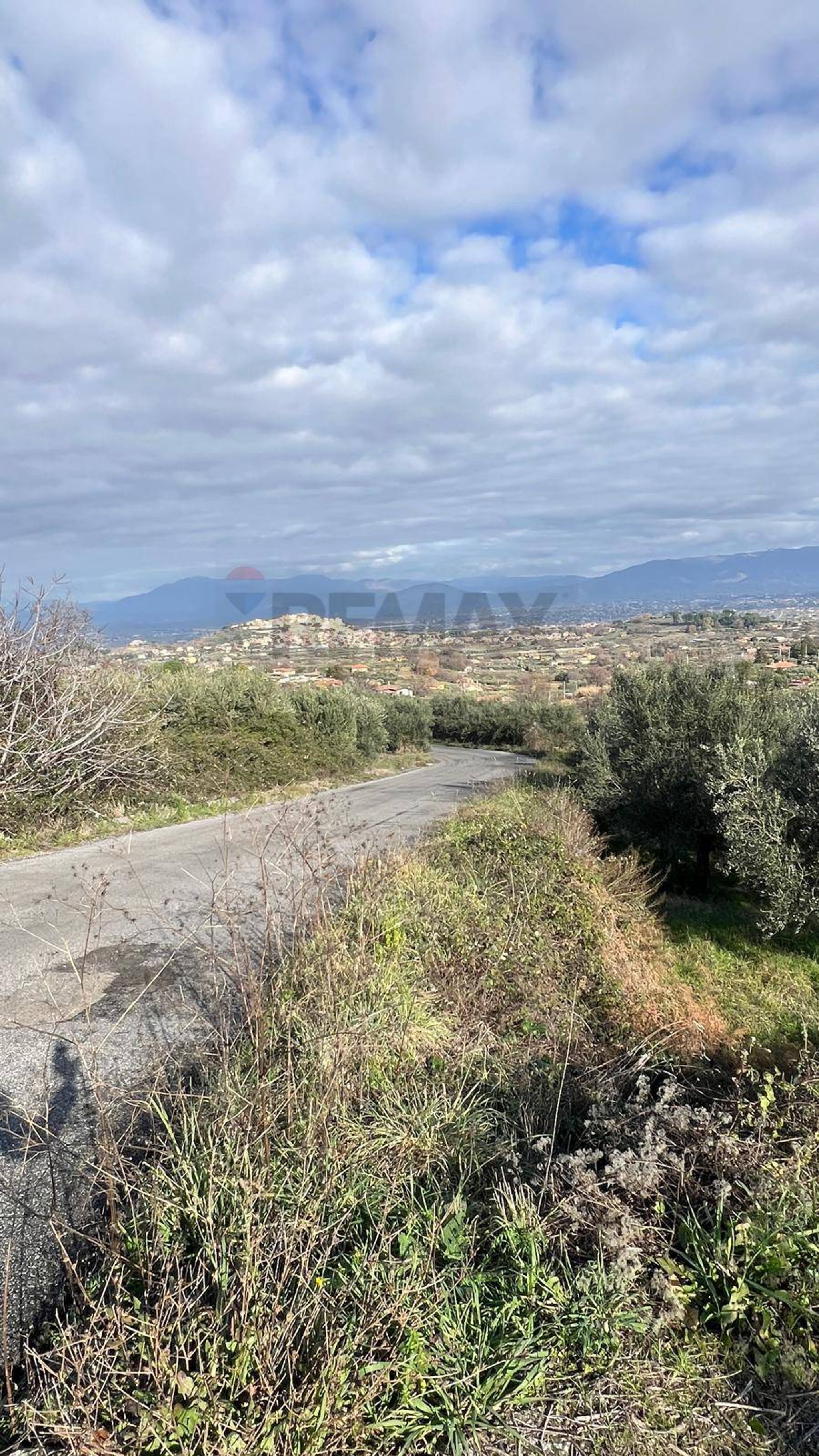 Vista delle montagne