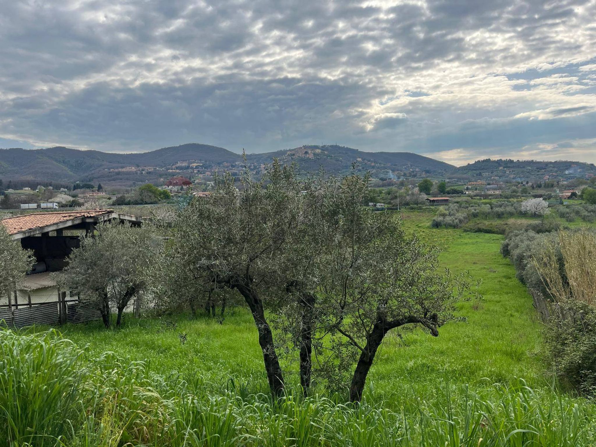 Vista delle montagne