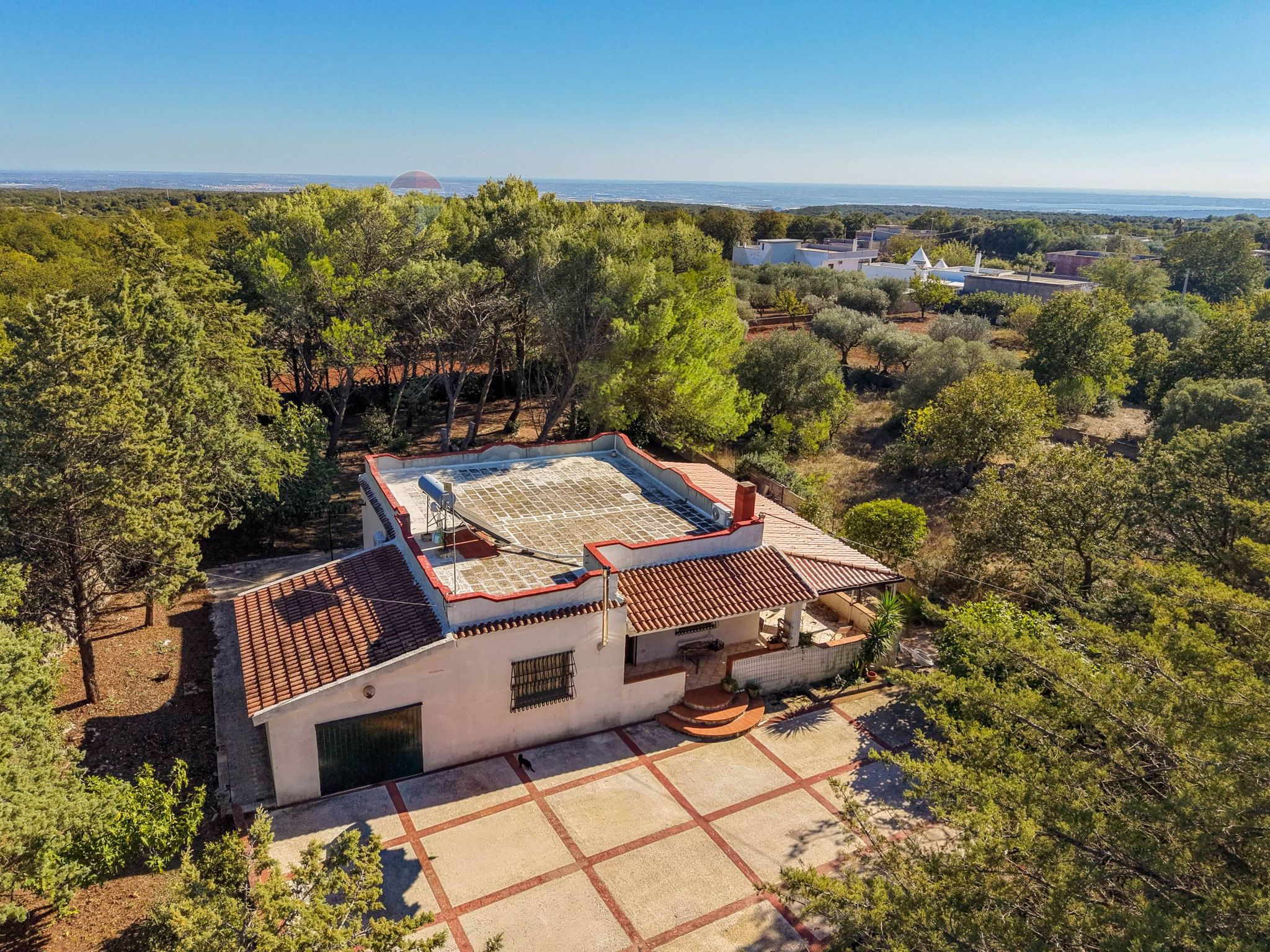 Foto principale