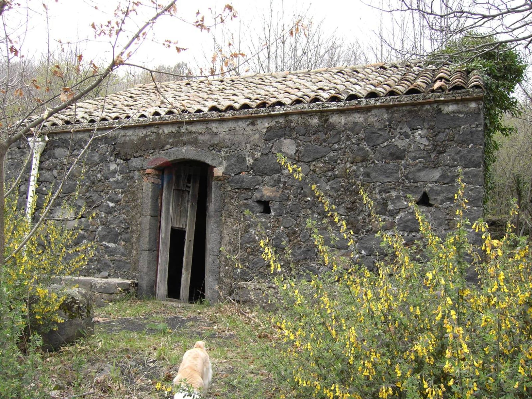 Foto 2