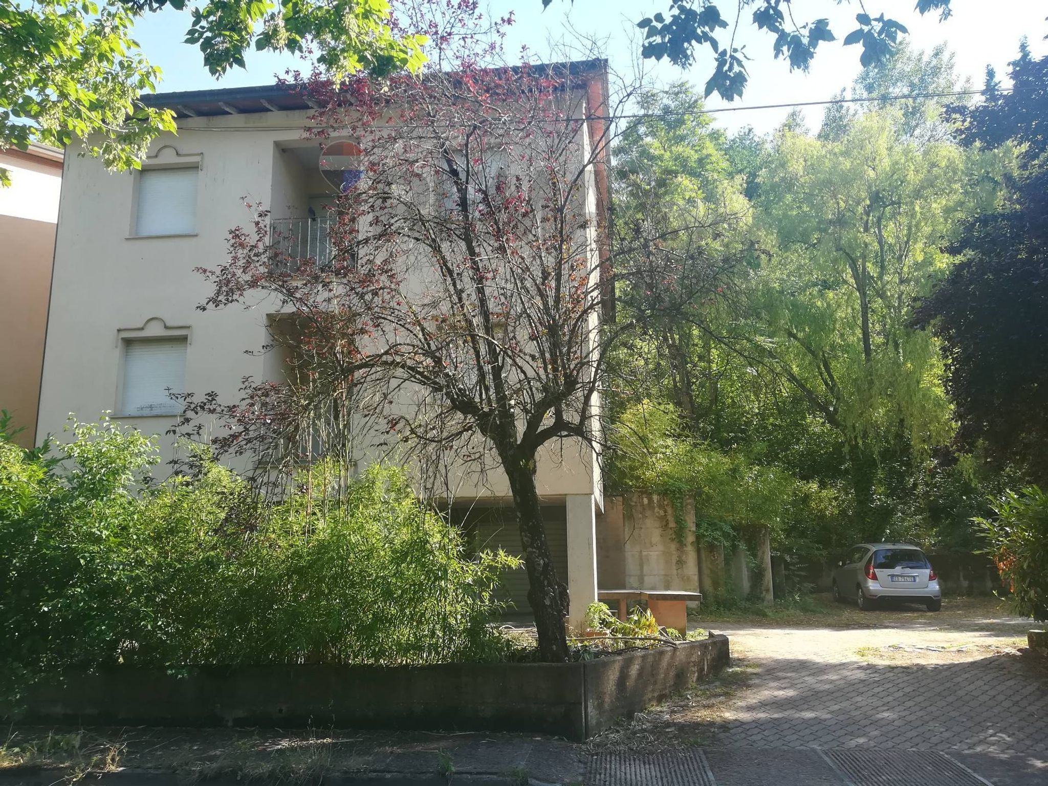 Foto 2
