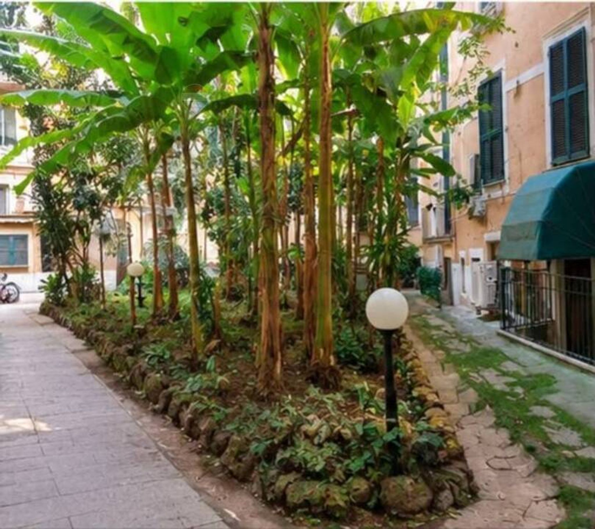 Giardino