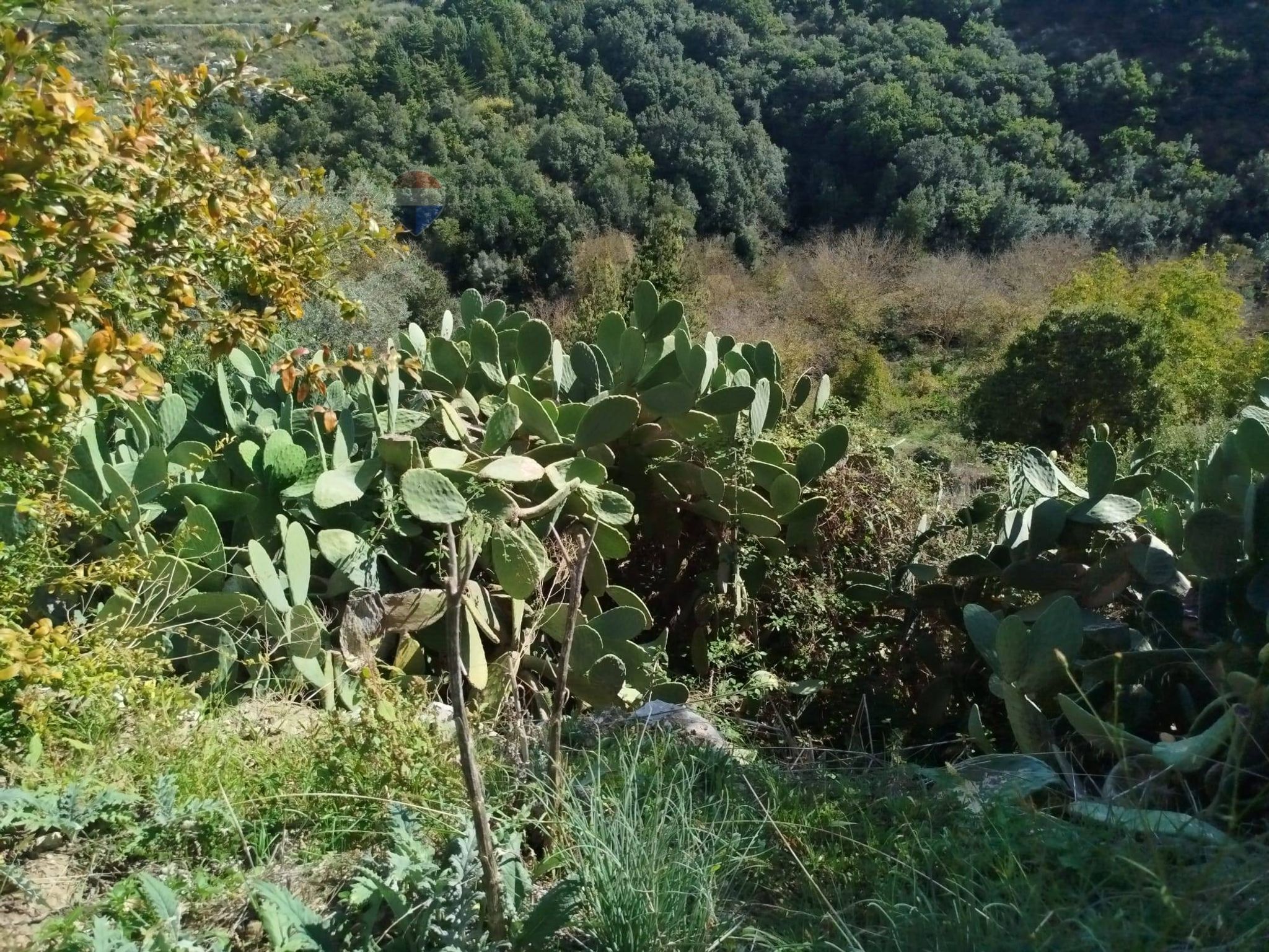 Foto principale