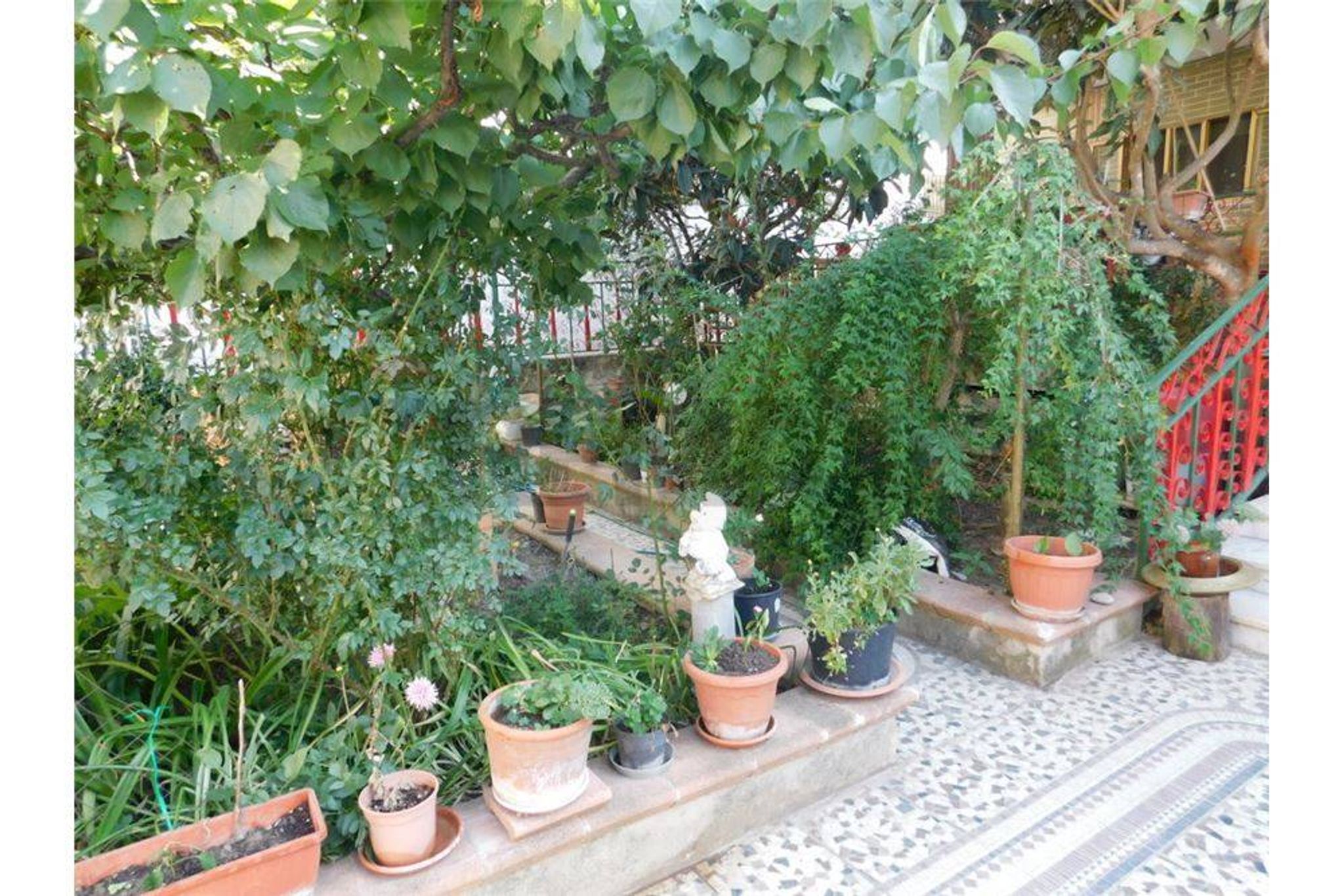 Giardino