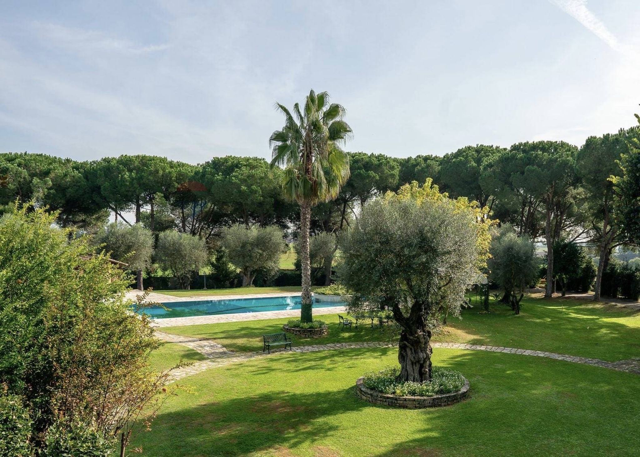 Giardino