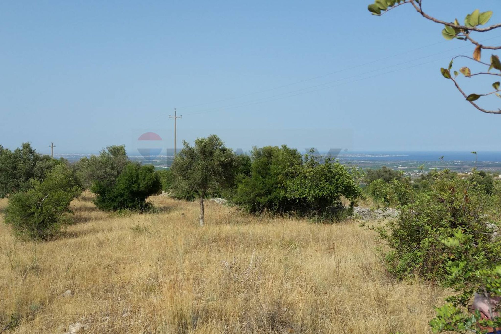 Vista delle montagne