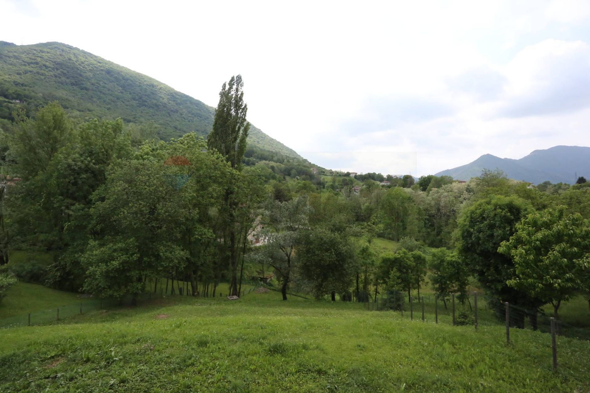 Vista delle montagne