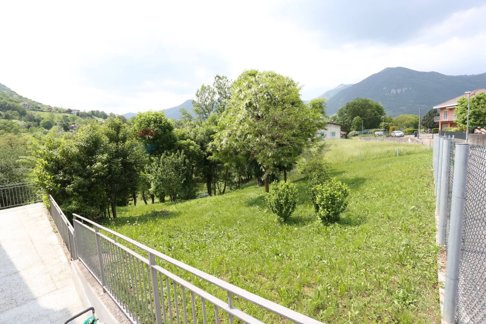 Giardino