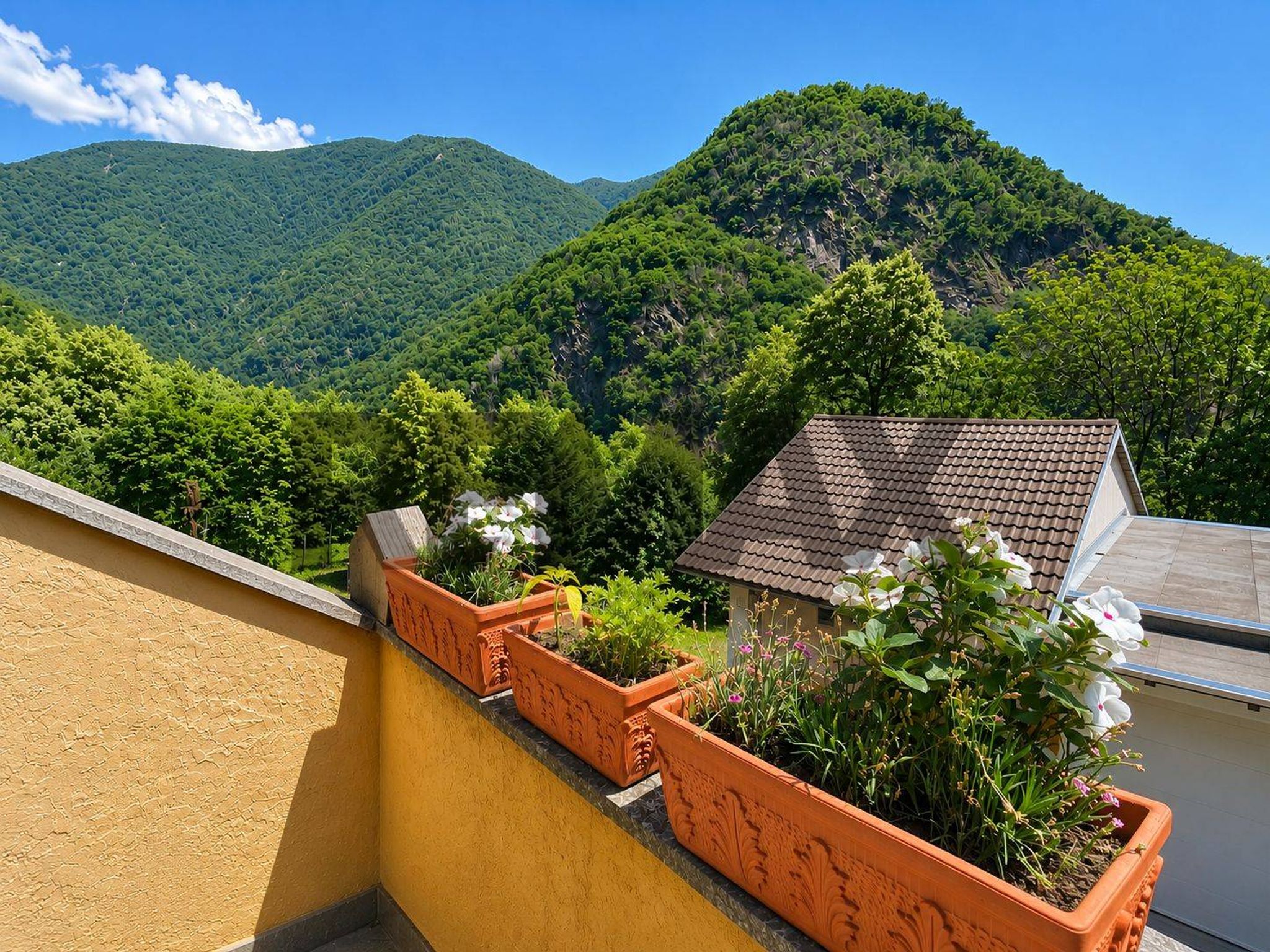 Vista delle montagne