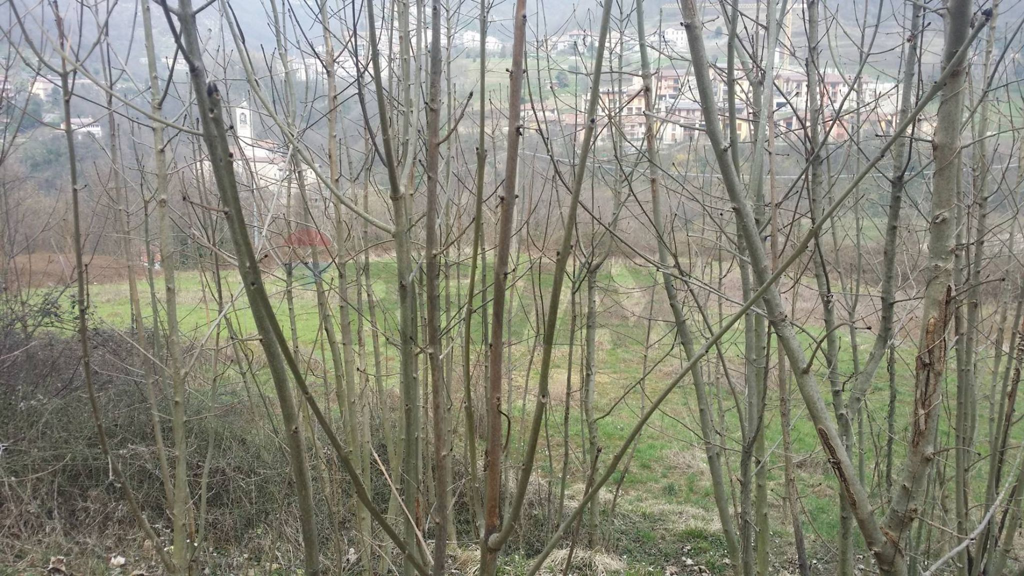 Immobile a Torre de' Busi