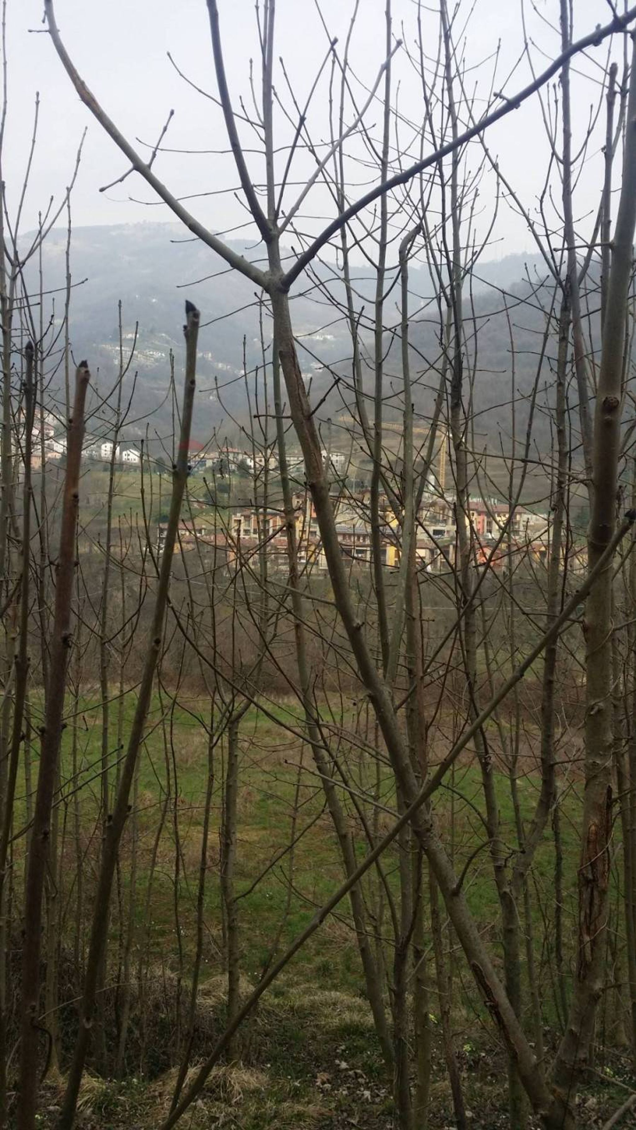Vista delle montagne