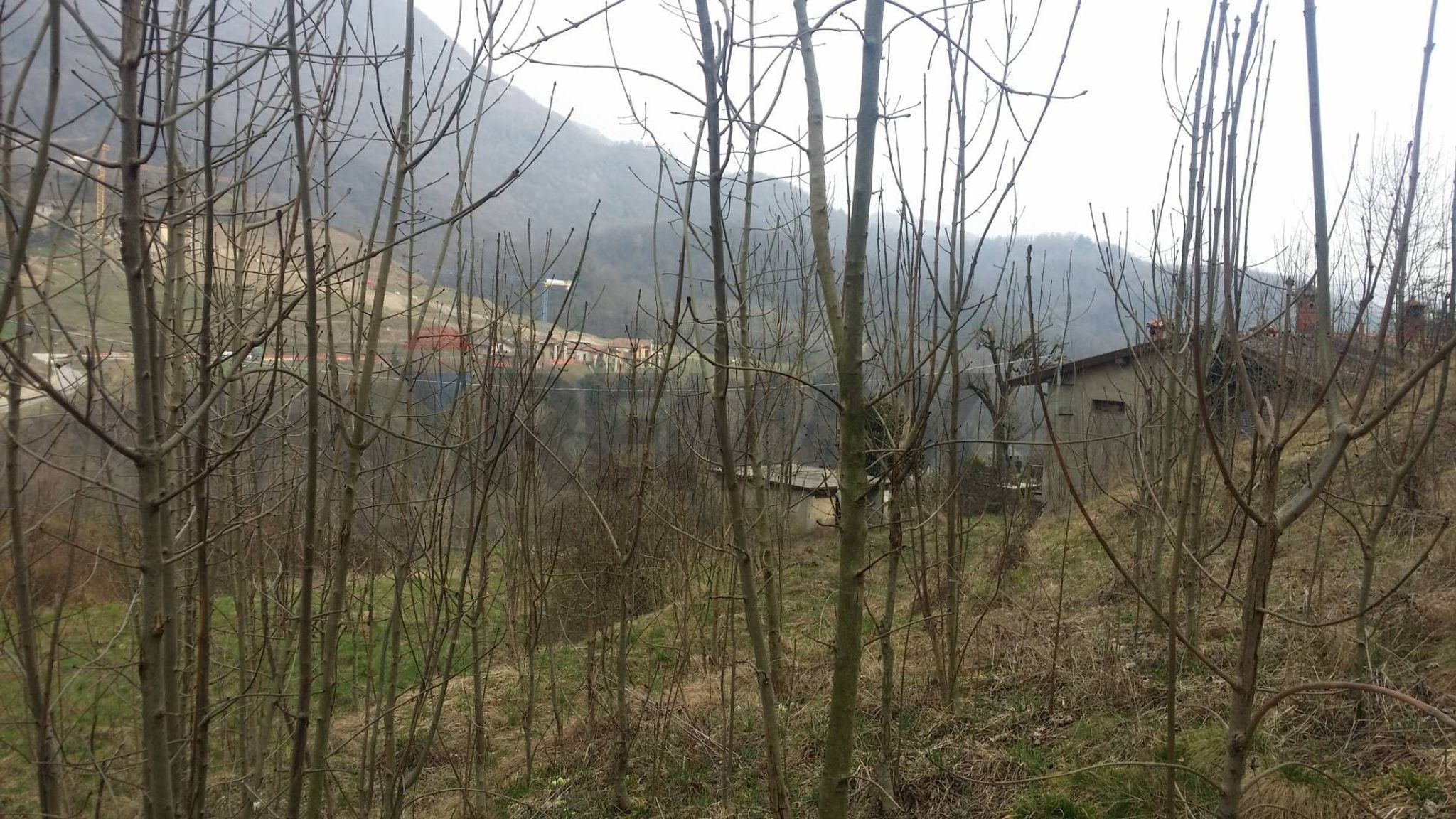 Vista delle montagne