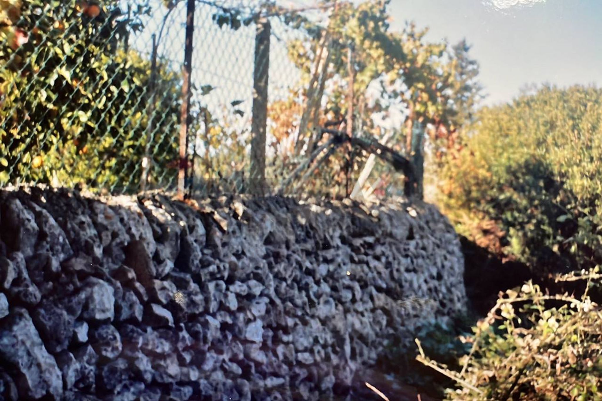 Vista delle montagne