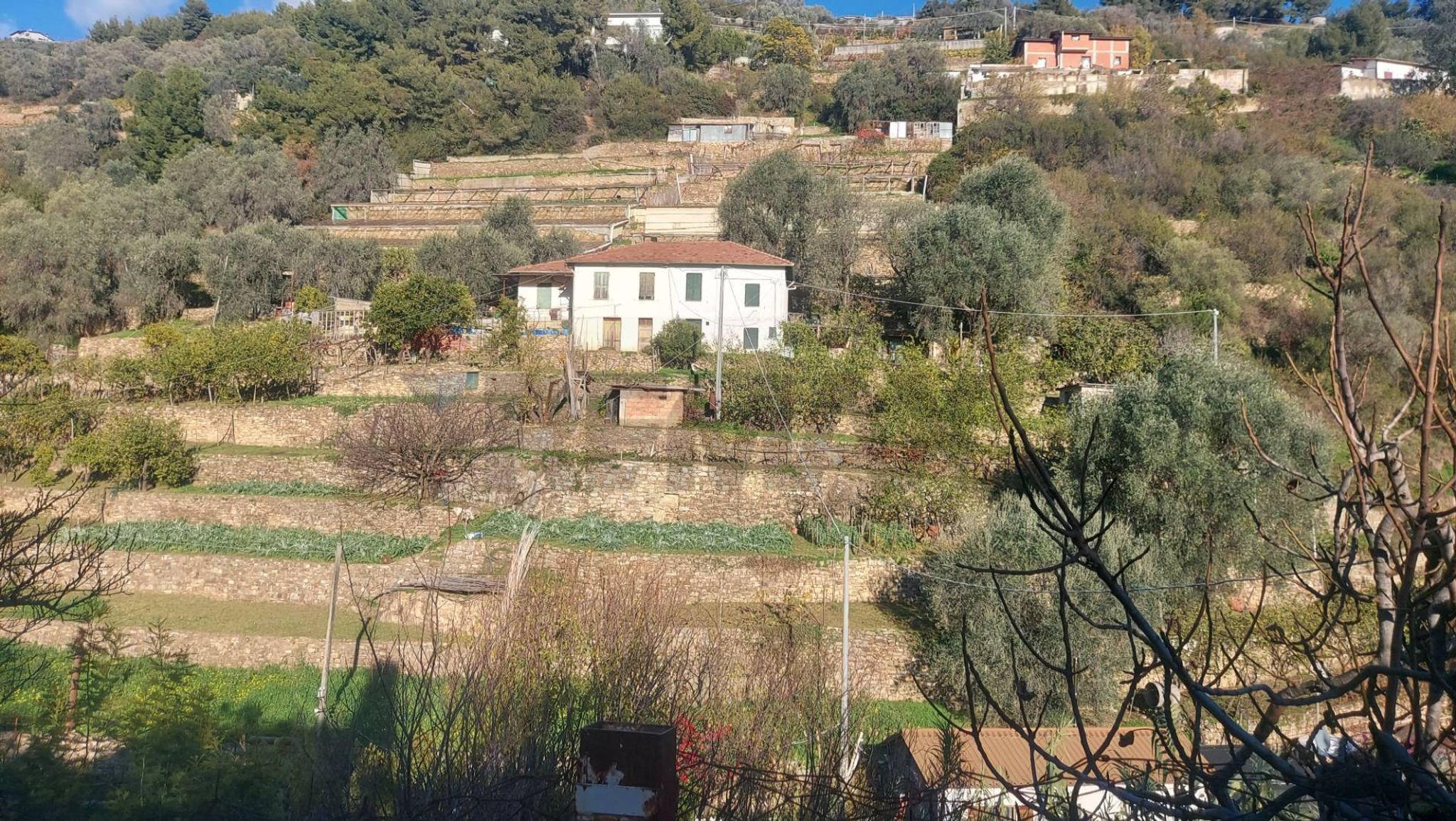 Immobile a Sanremo