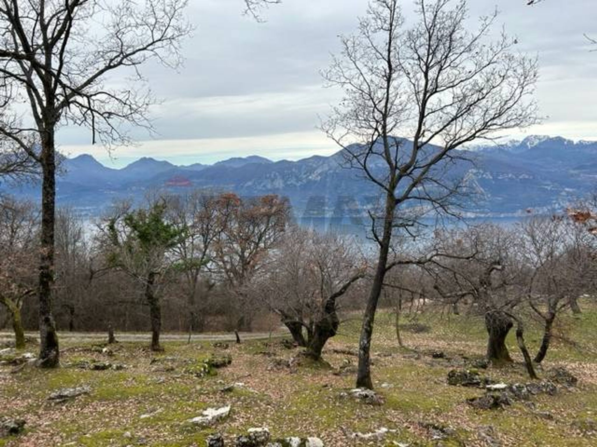 Vista delle montagne