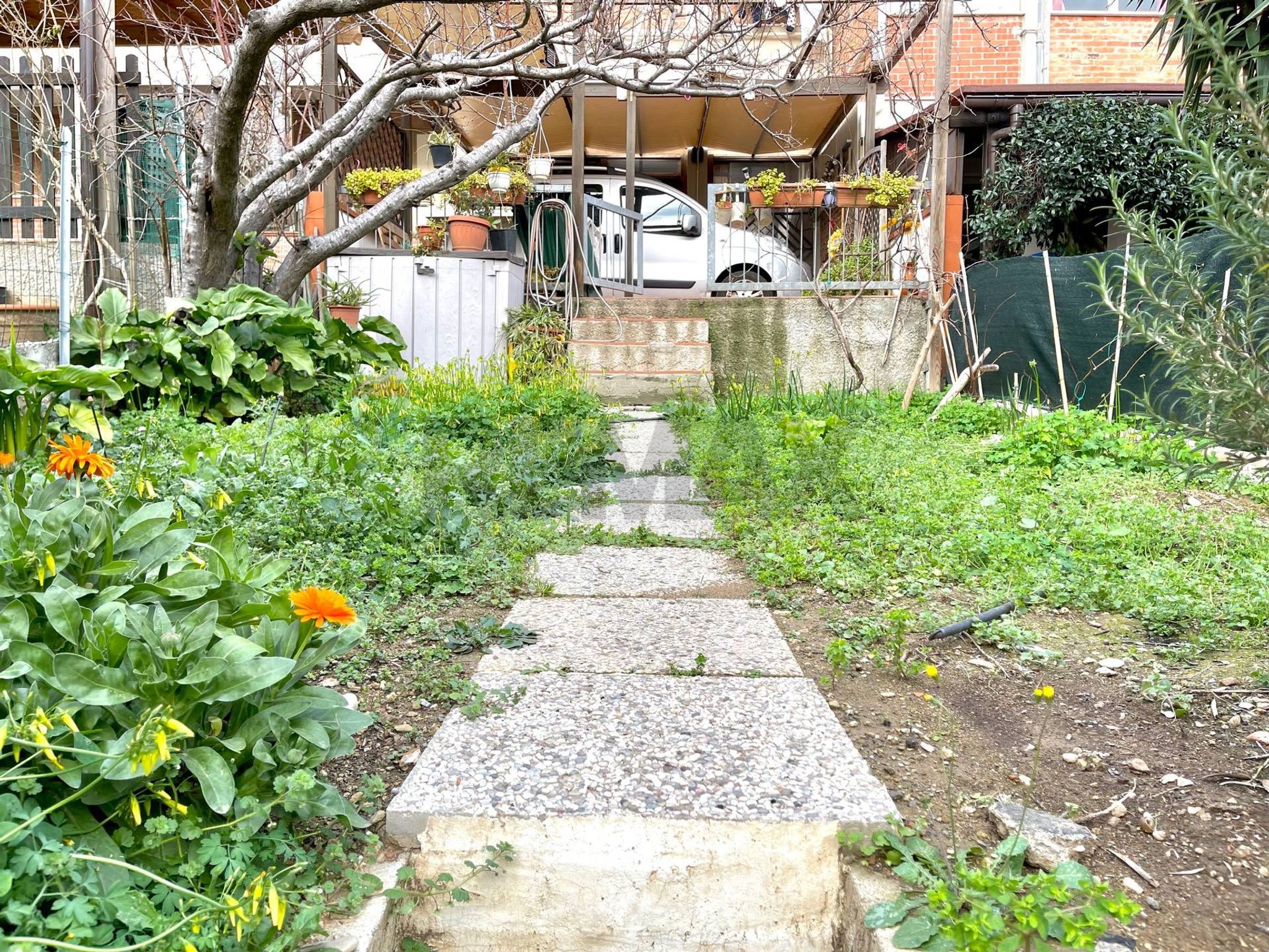 Property in Piombino