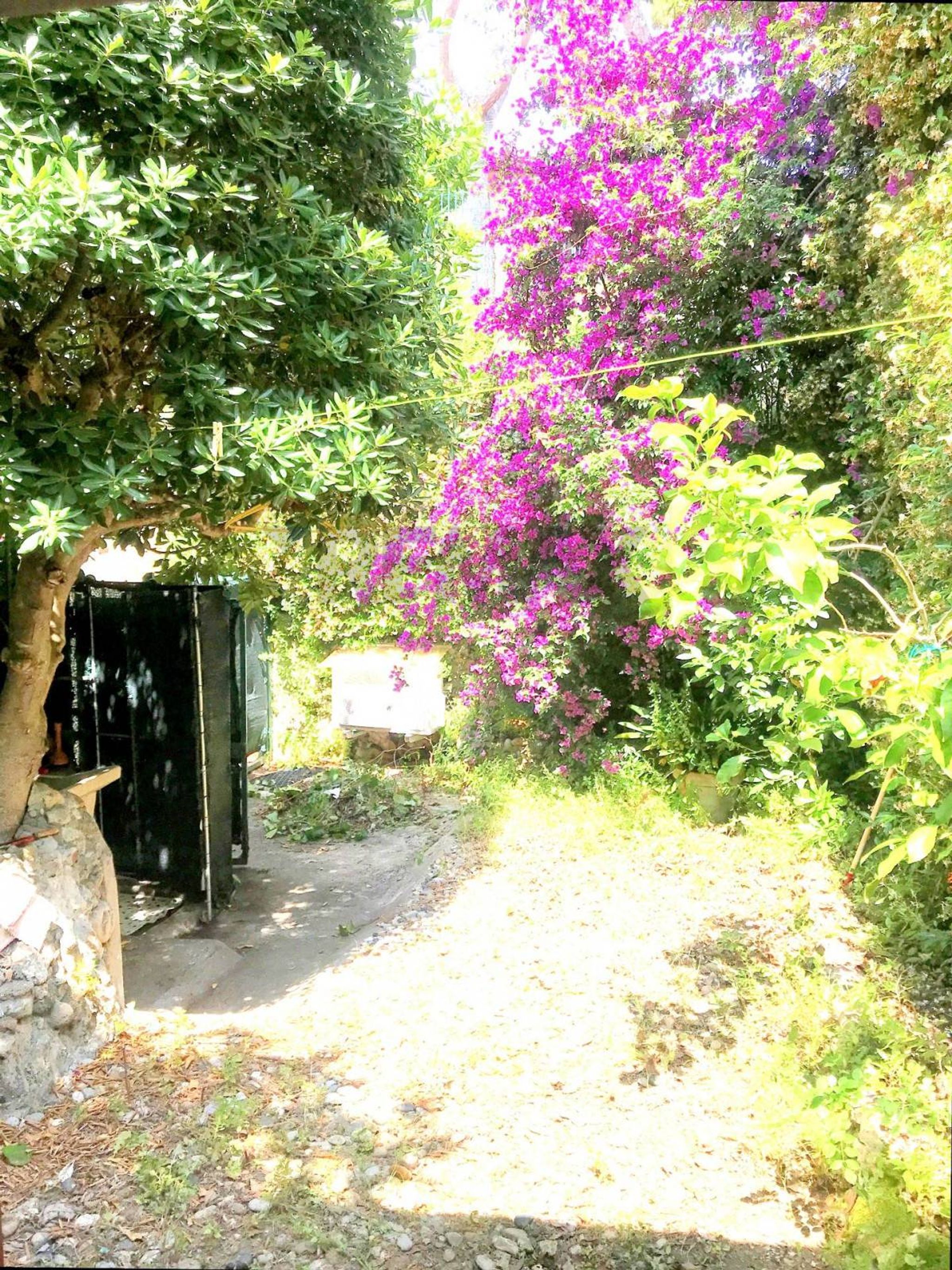 Property in Rosignano Marittimo