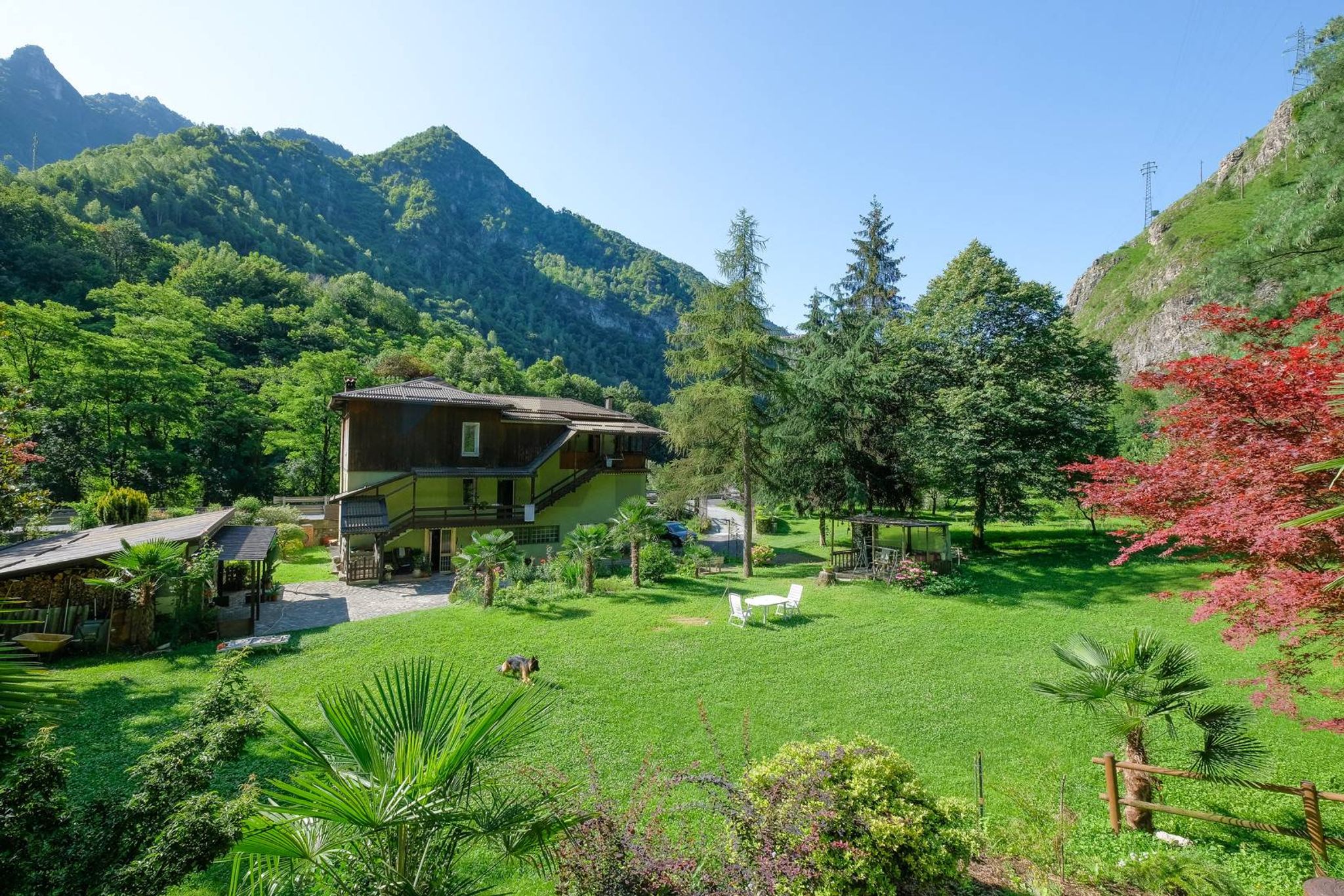 Giardino