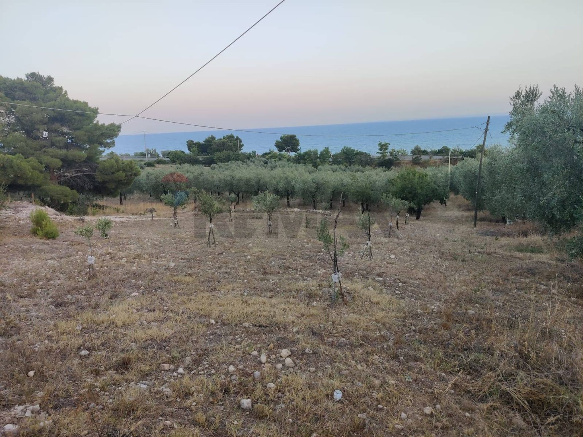 Vista delle montagne