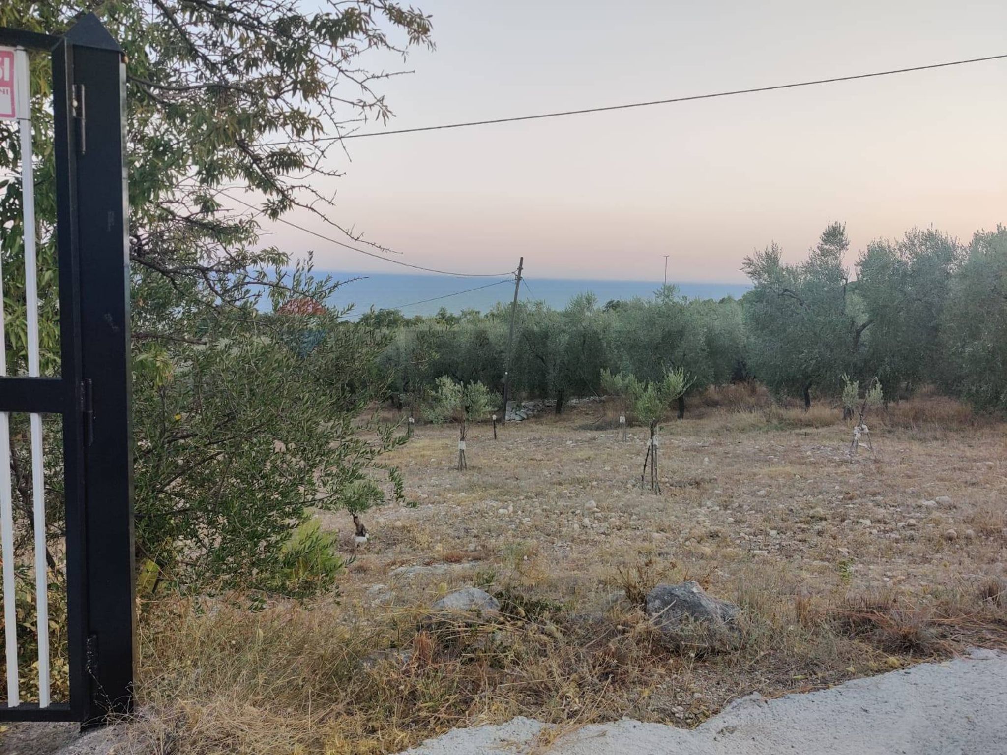 Vista delle montagne