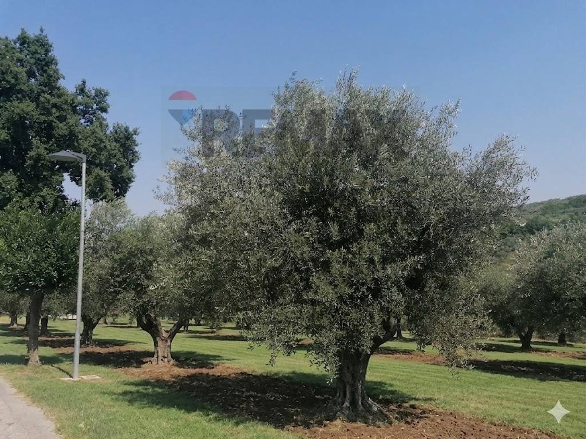 Giardino