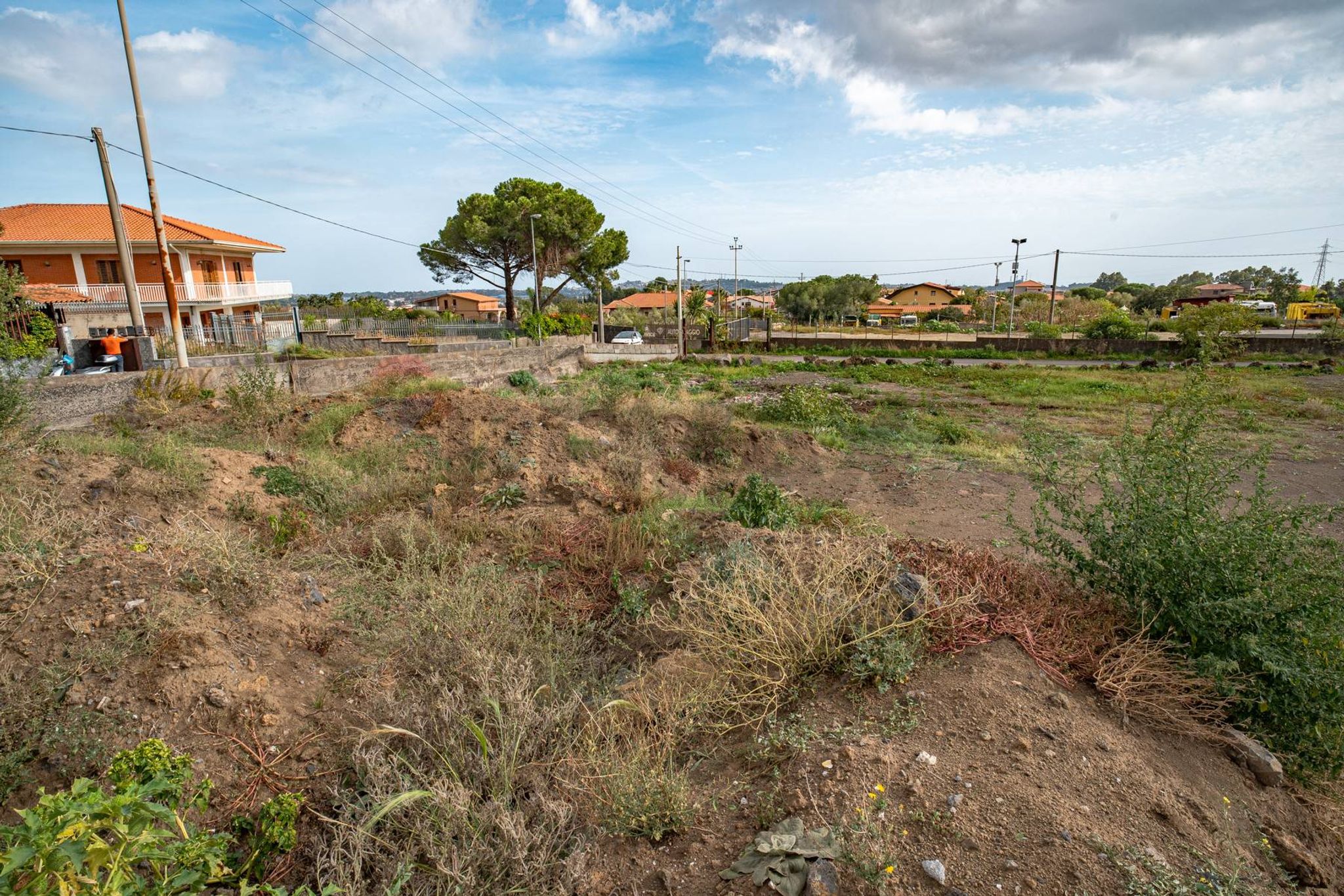 Giardino