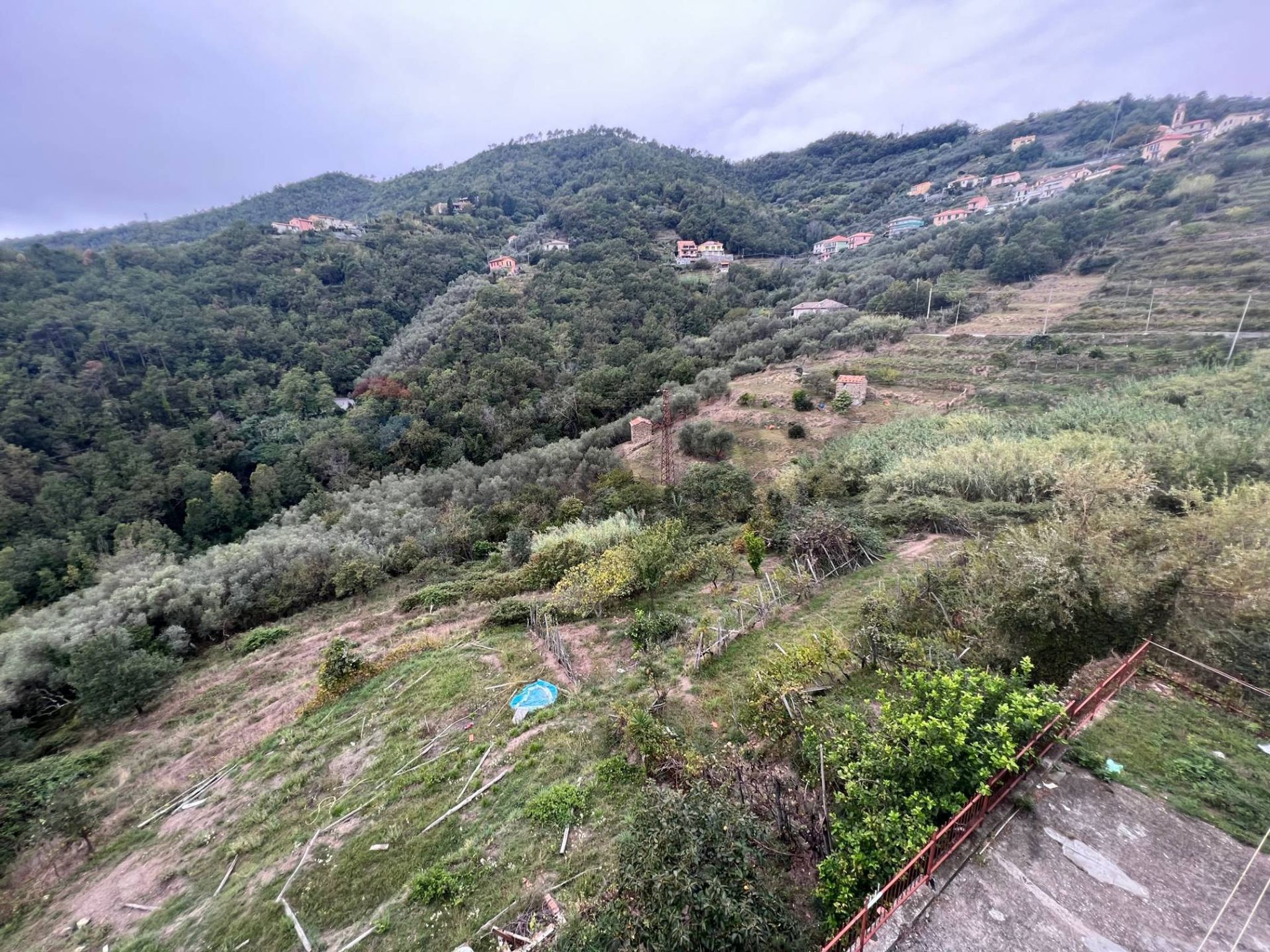 Vista delle montagne