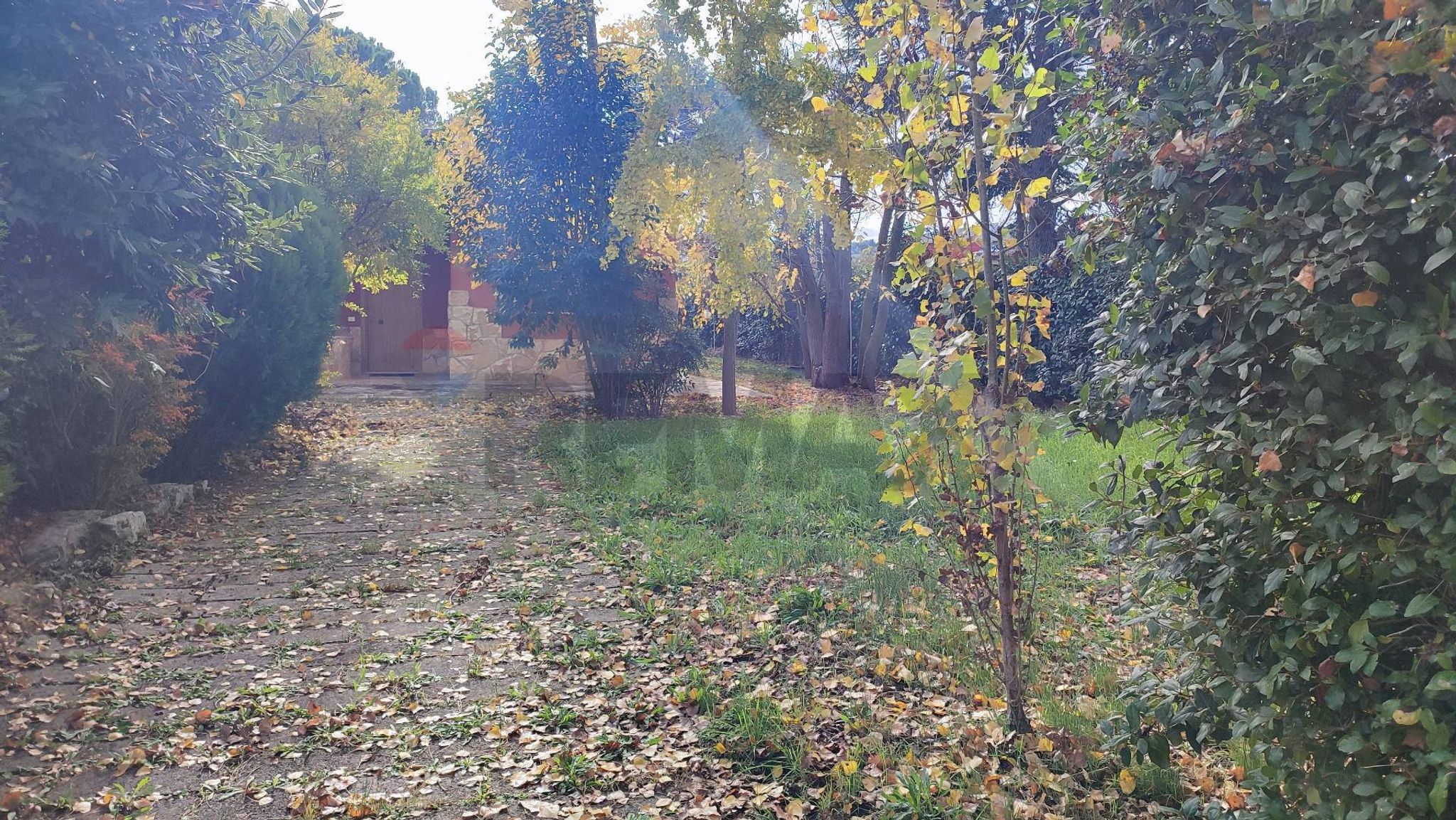 Giardino