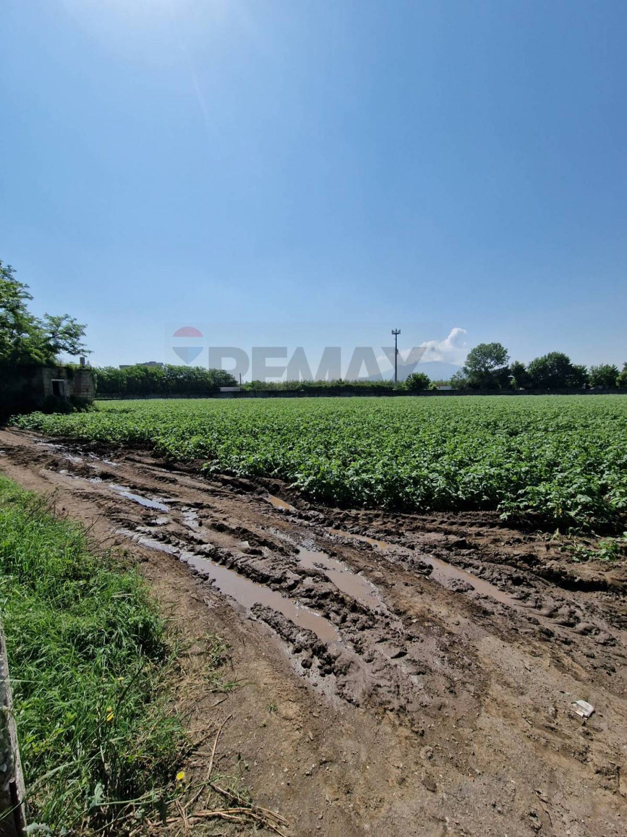 Property in Acerra