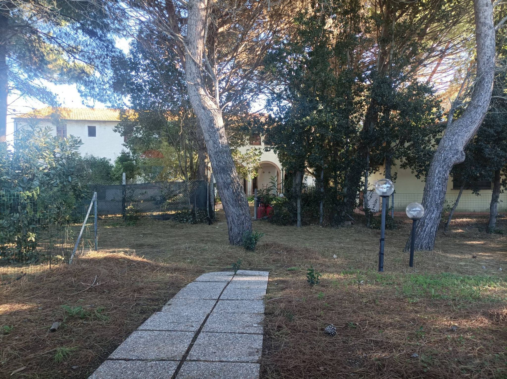 Giardino