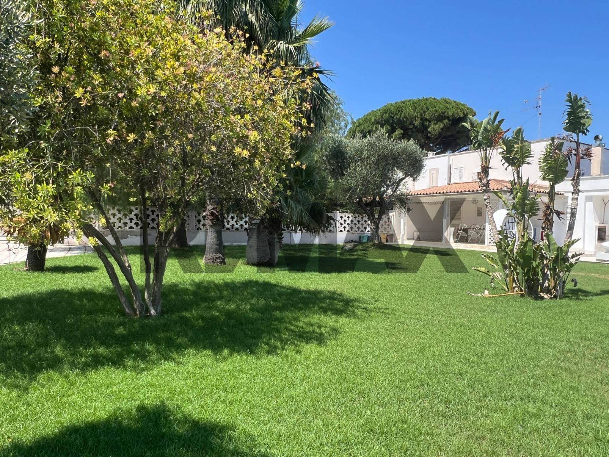 Giardino