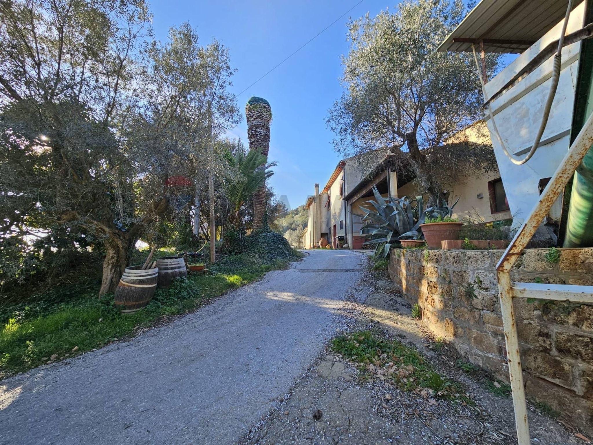 Immobile a Campiglia Marittima