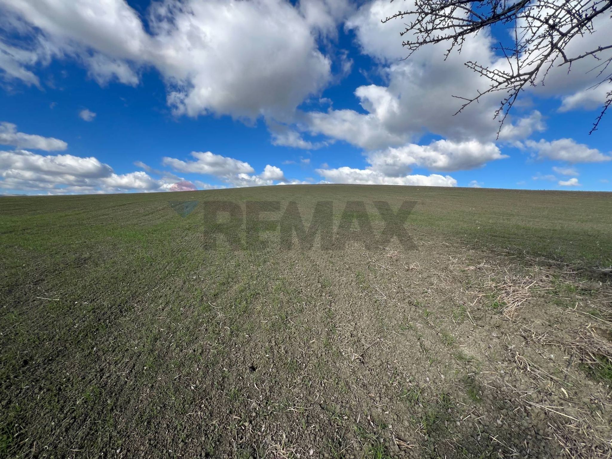Property in Tricarico
