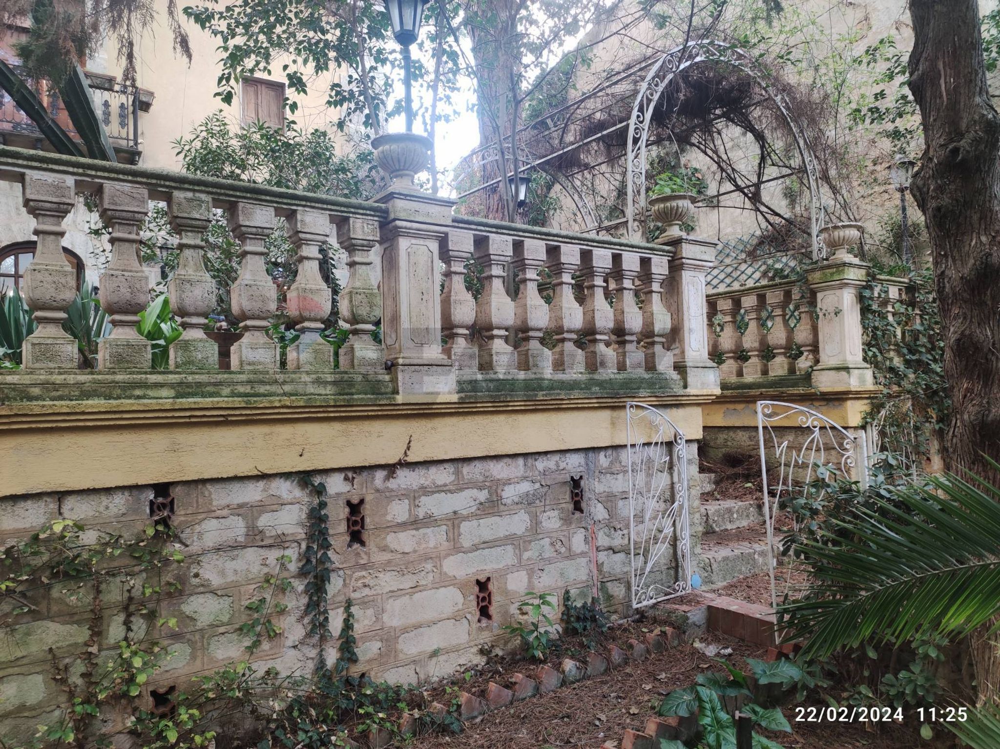 Giardino