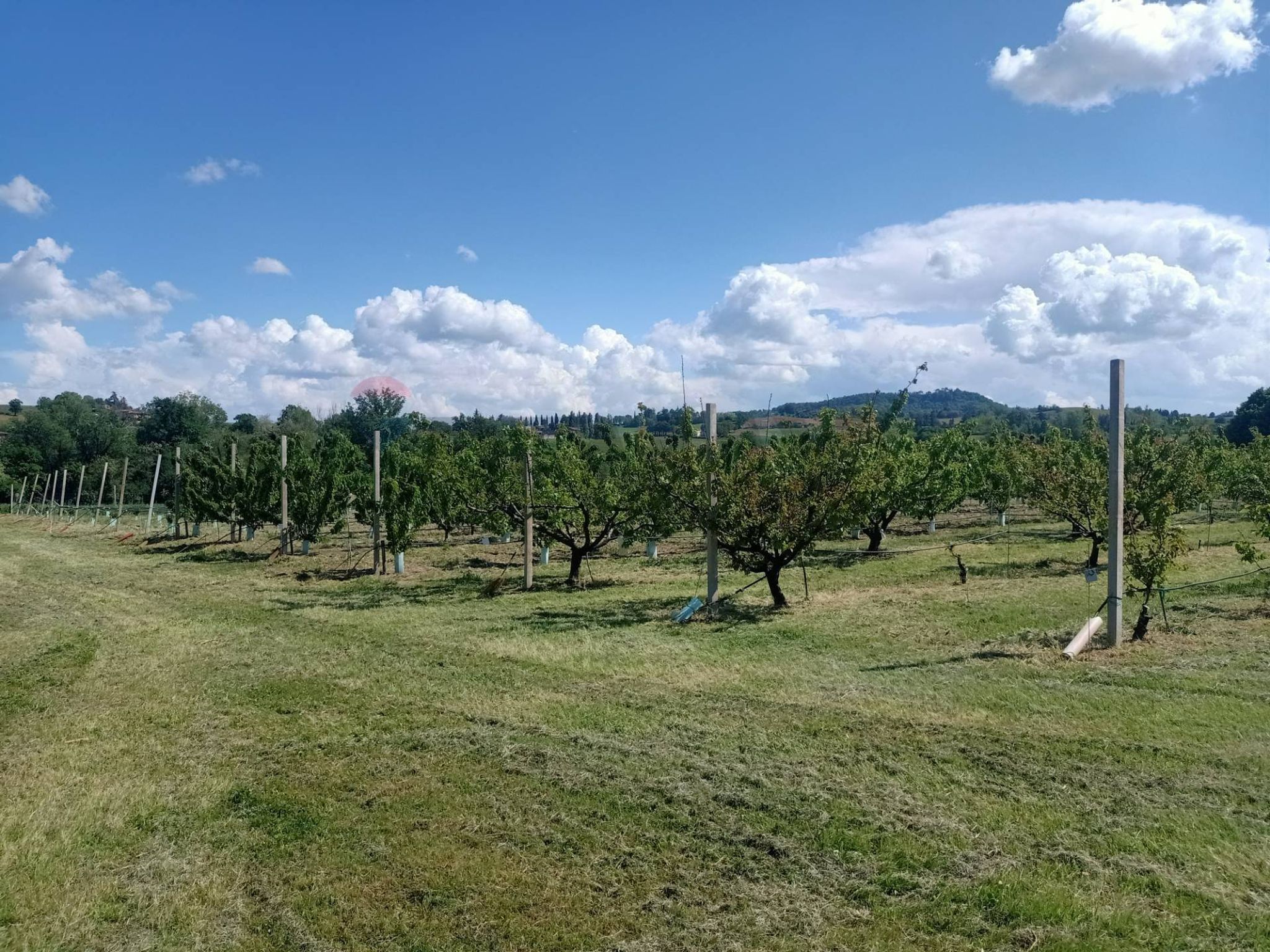 Vista delle montagne