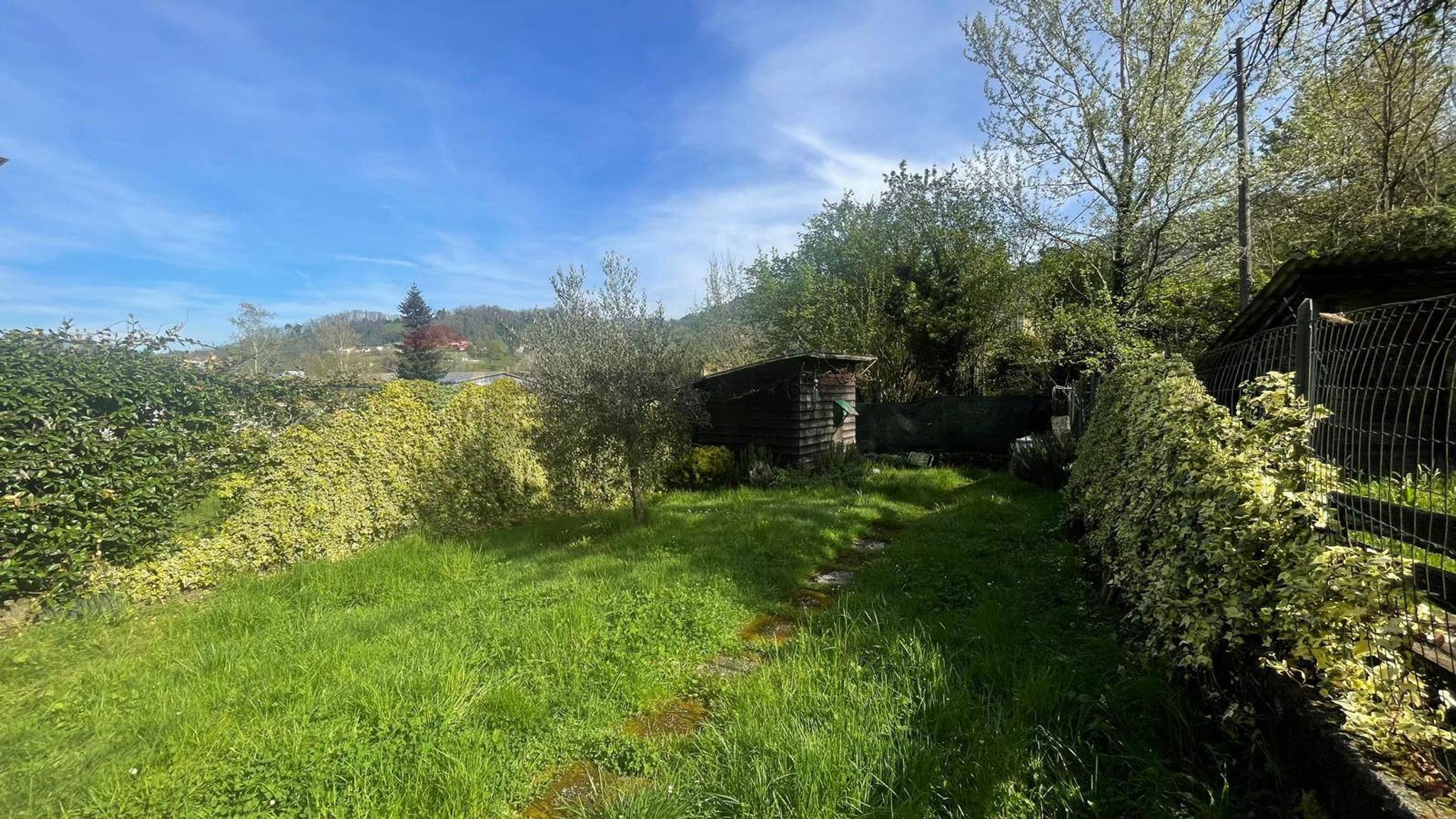 Giardino