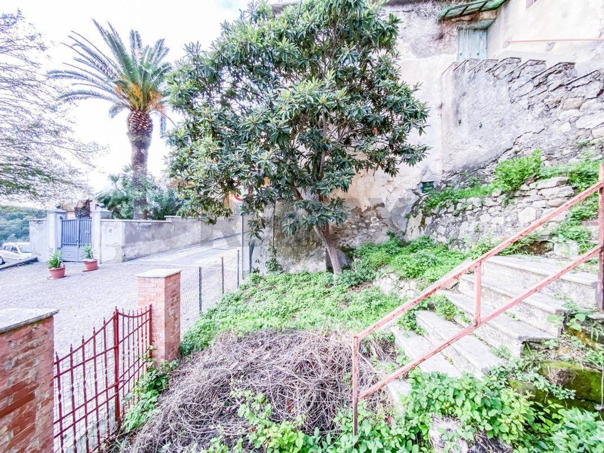 Giardino