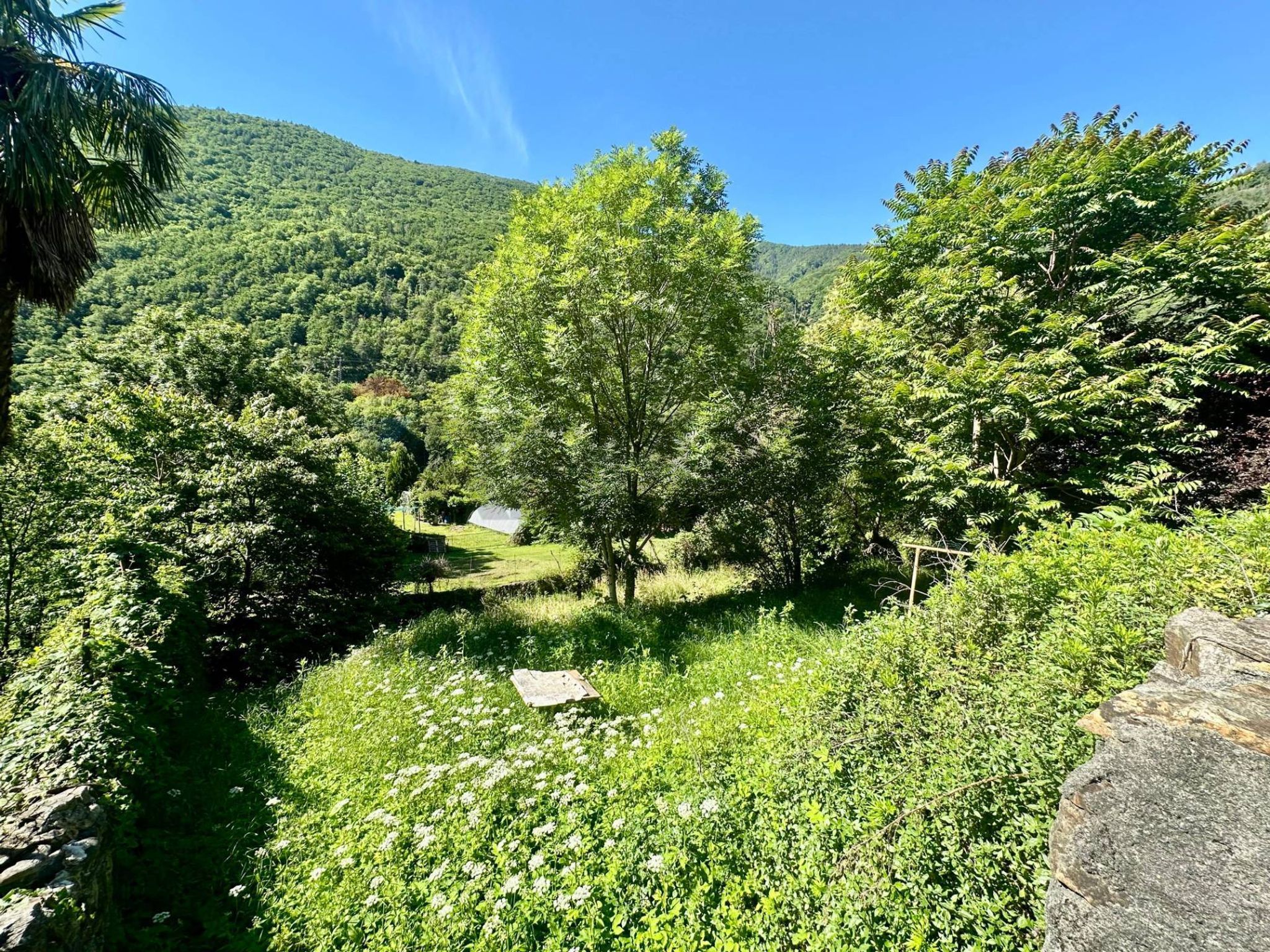 Giardino