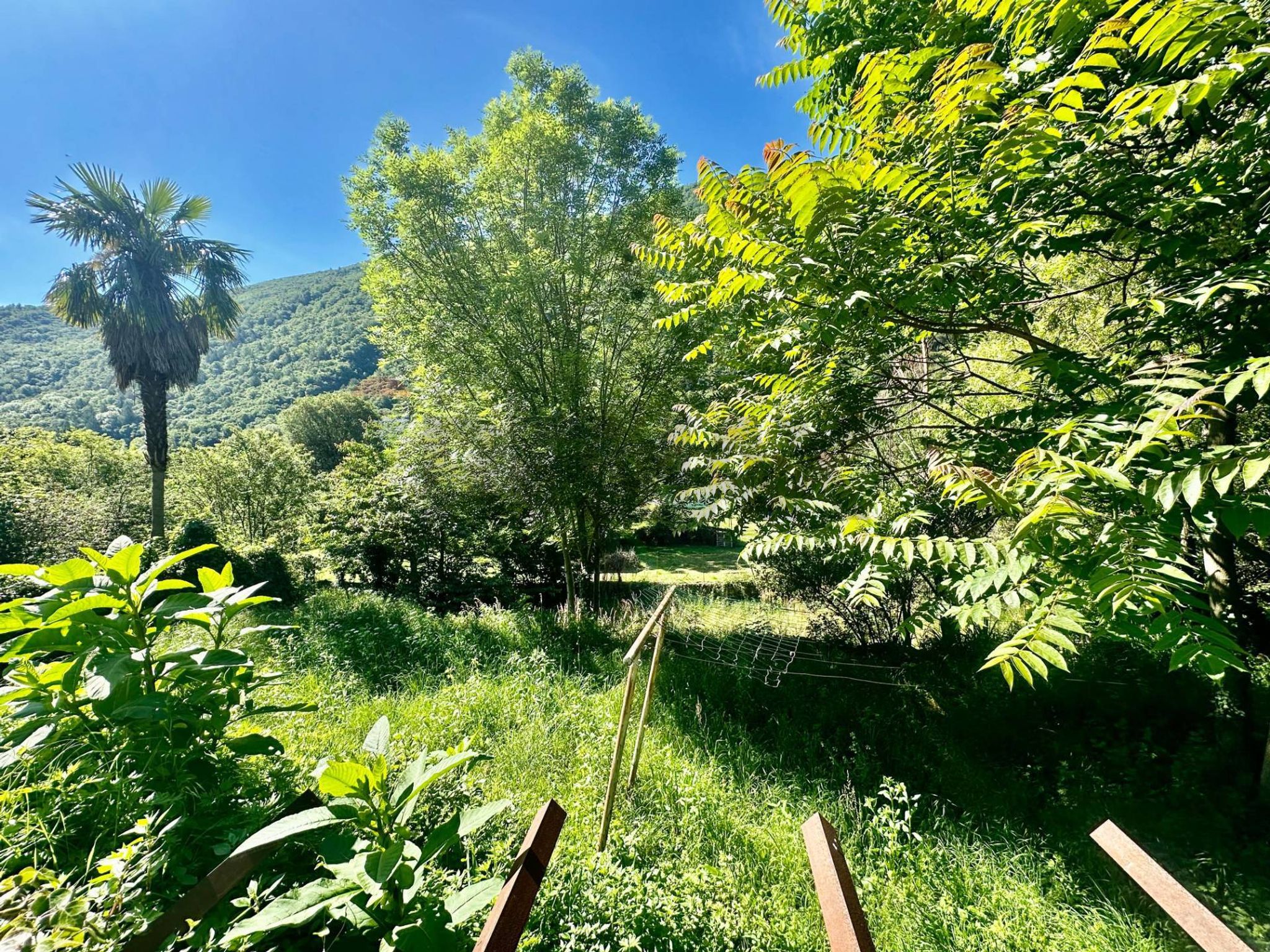 Giardino
